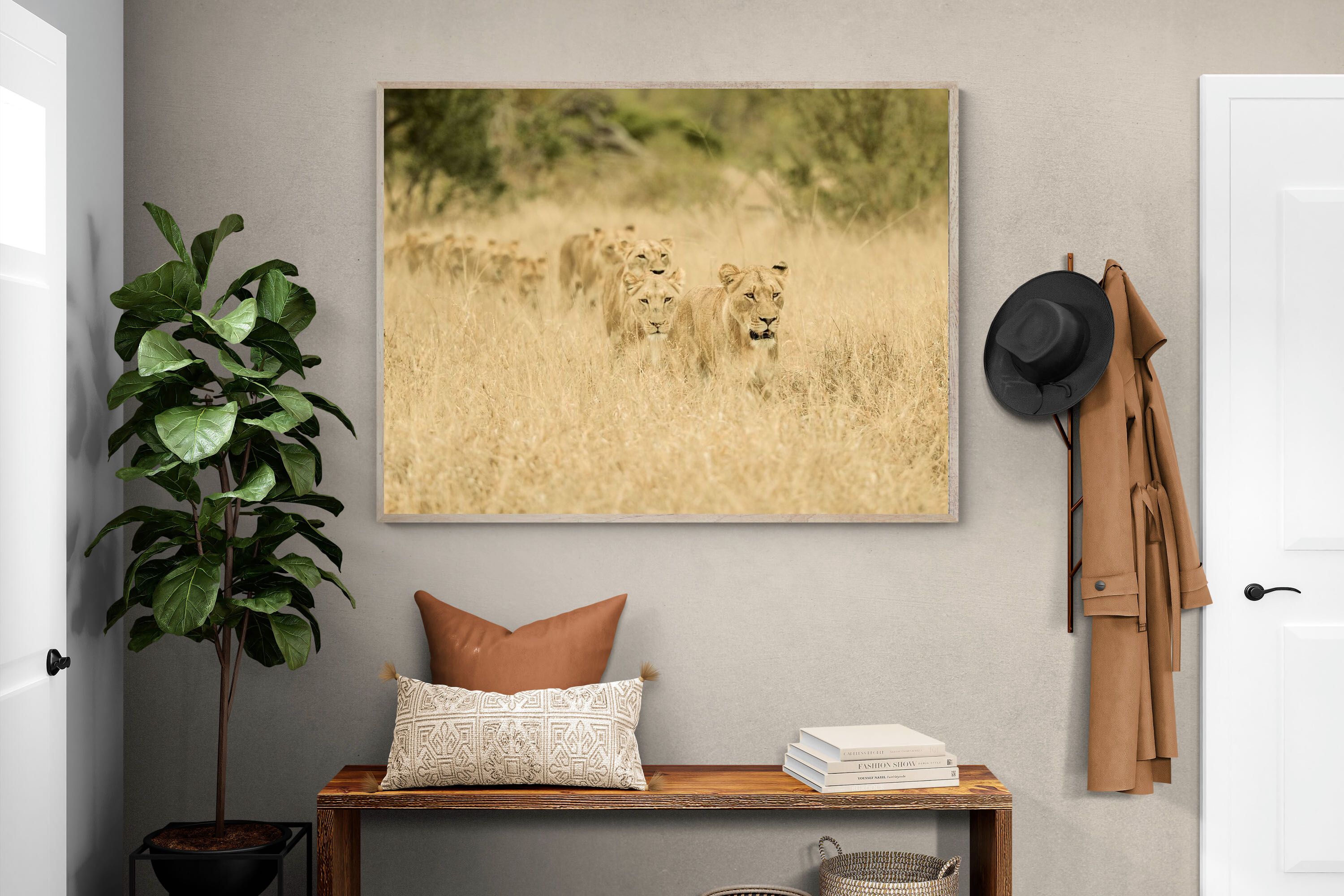 Pixalot Lionesses in Formation