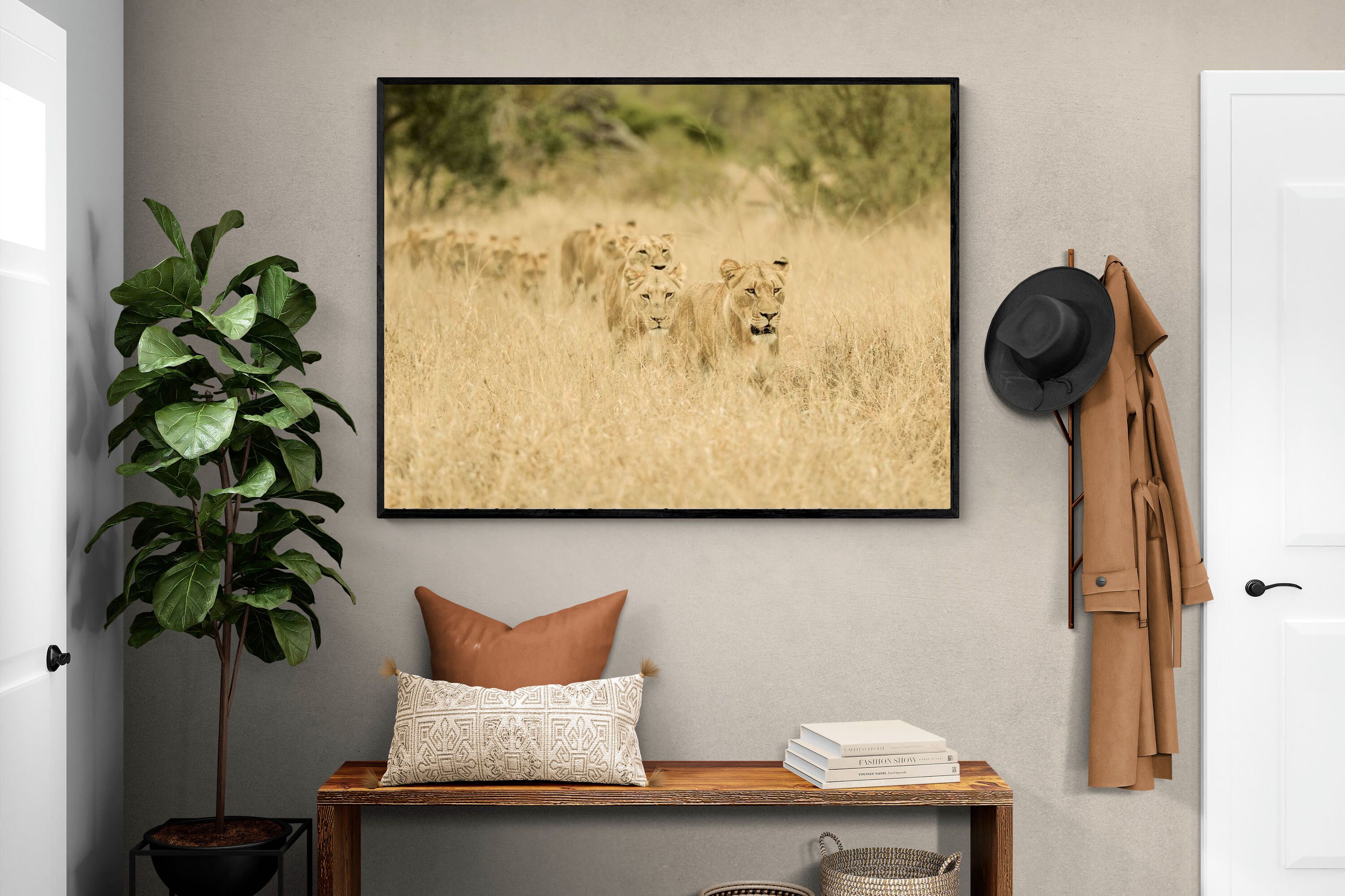 Pixalot Lionesses in Formation