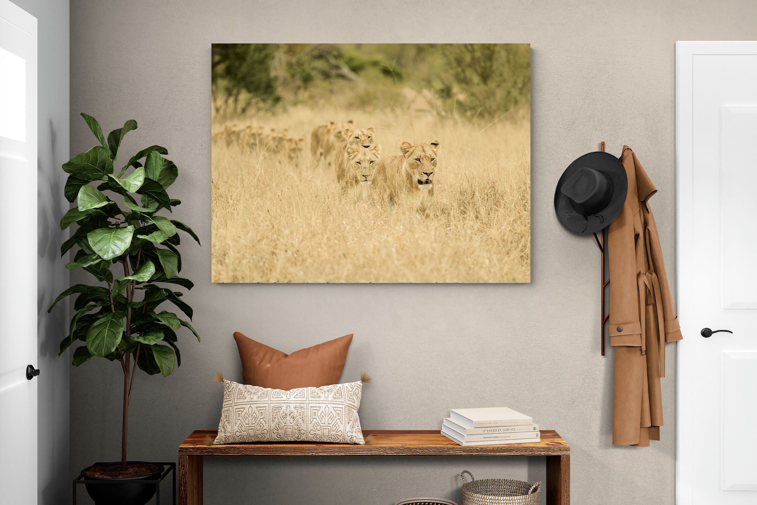 Pixalot Lionesses in Formation