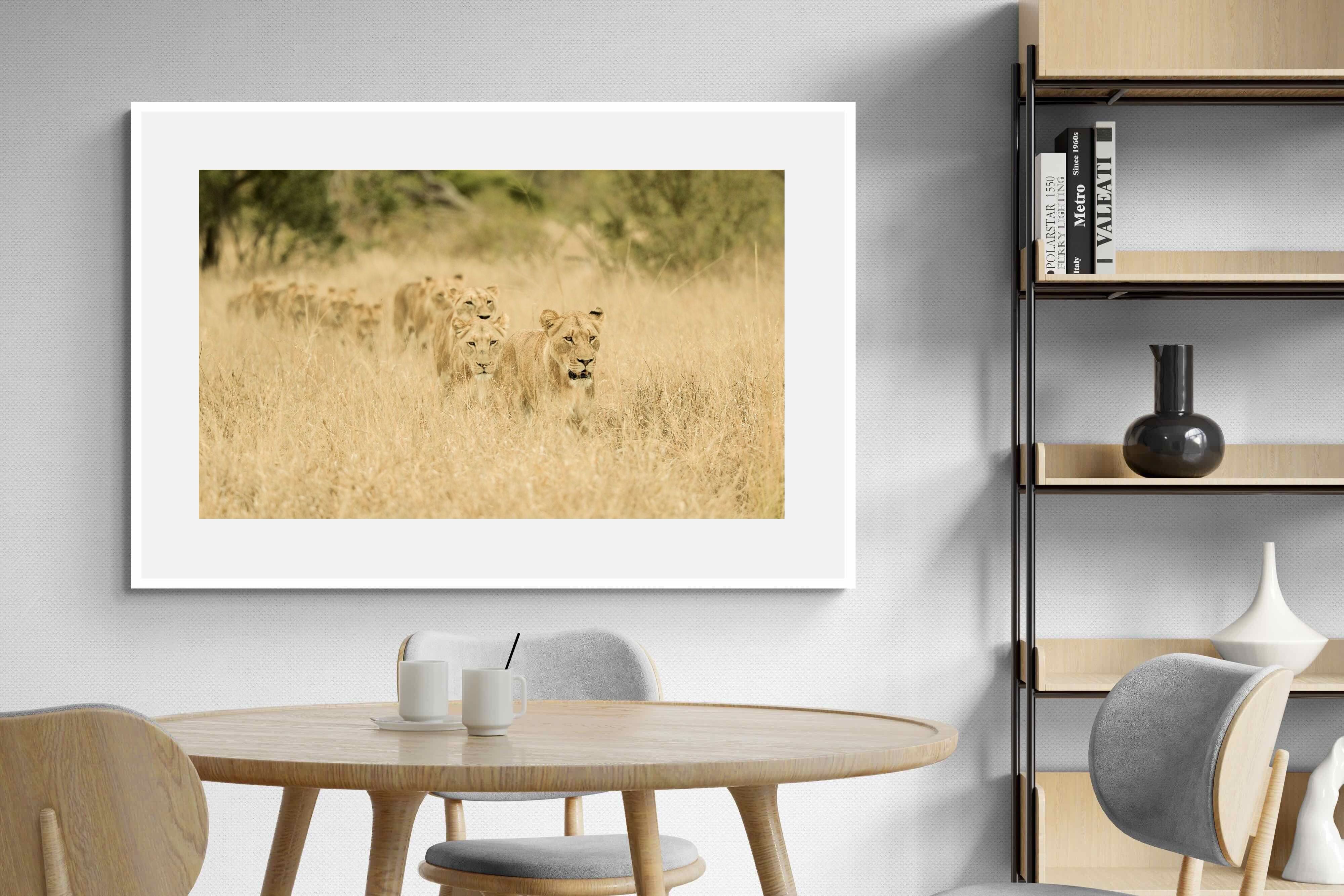 Pixalot Lionesses in Formation