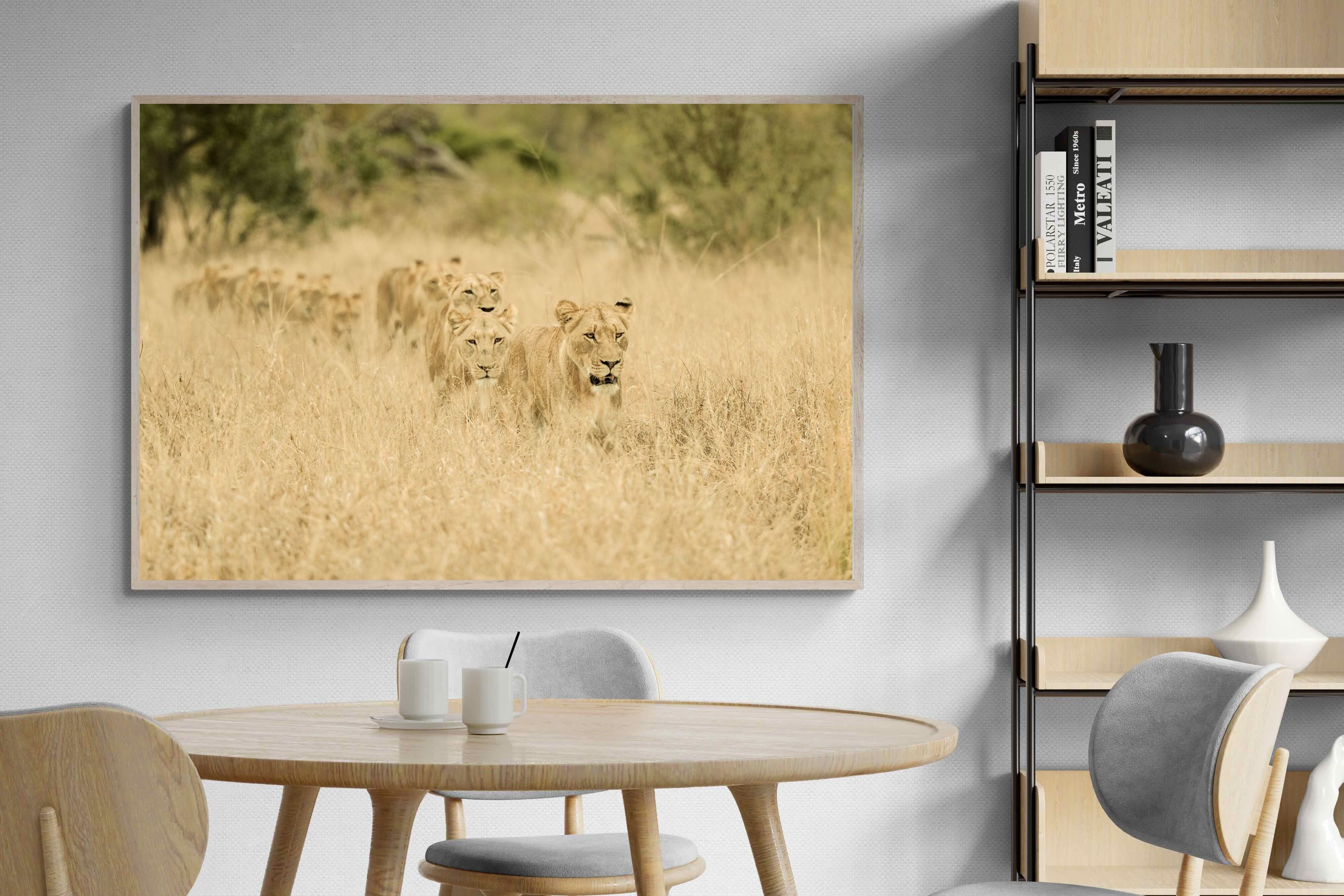 Pixalot Lionesses in Formation