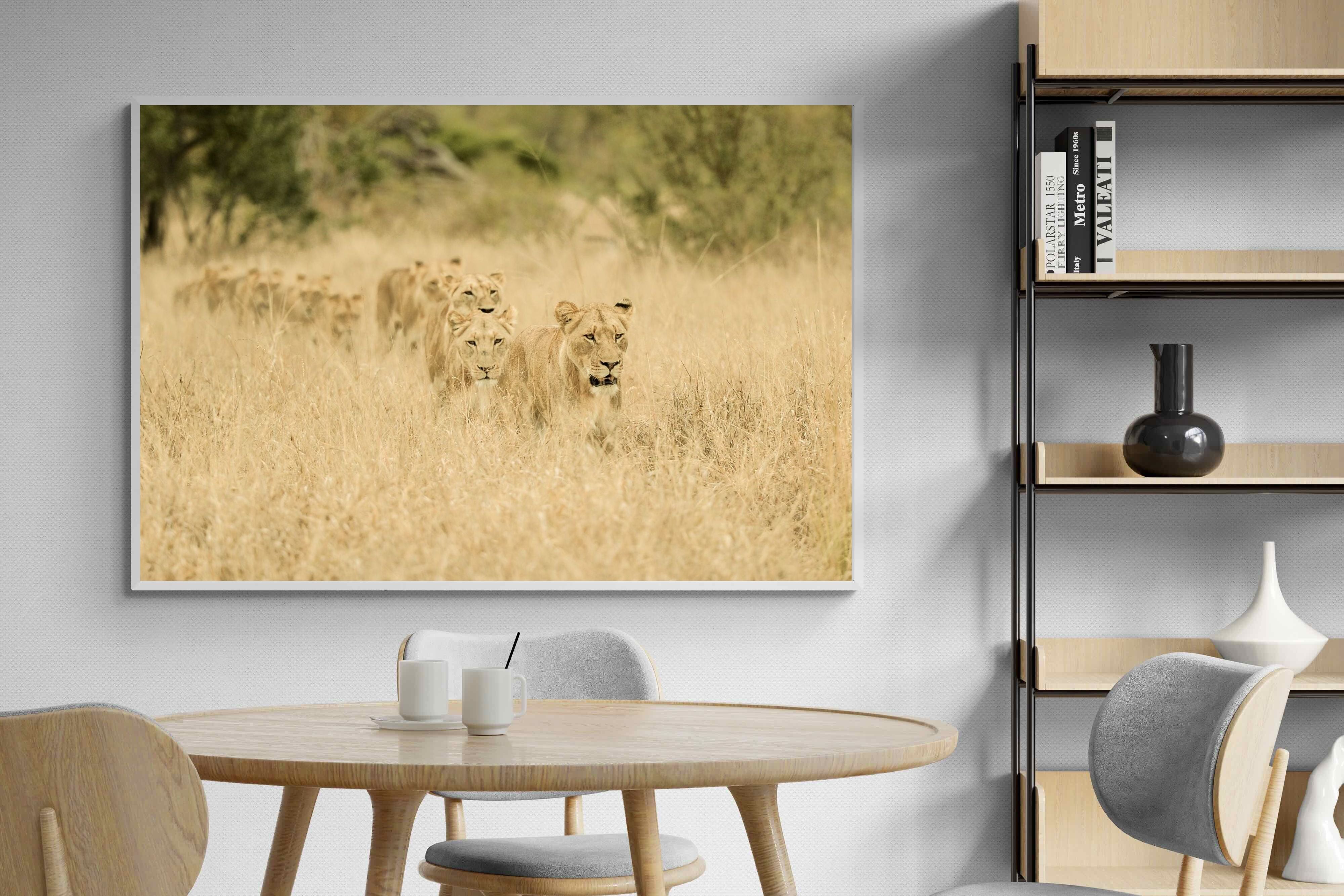 Pixalot Lionesses in Formation