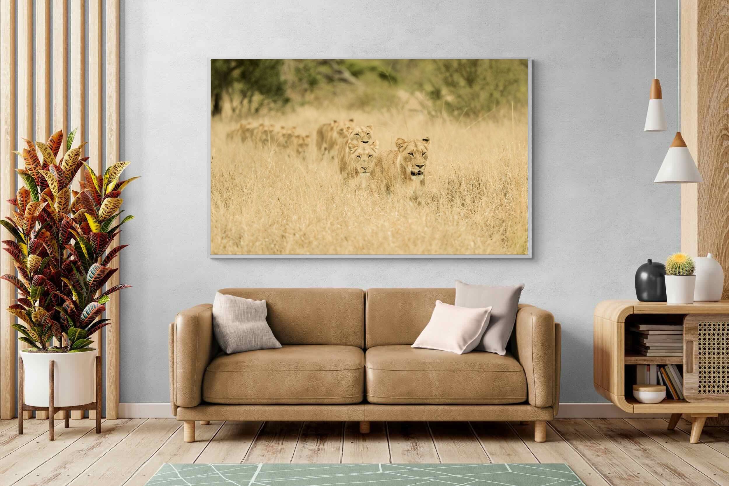 Pixalot Lionesses in Formation