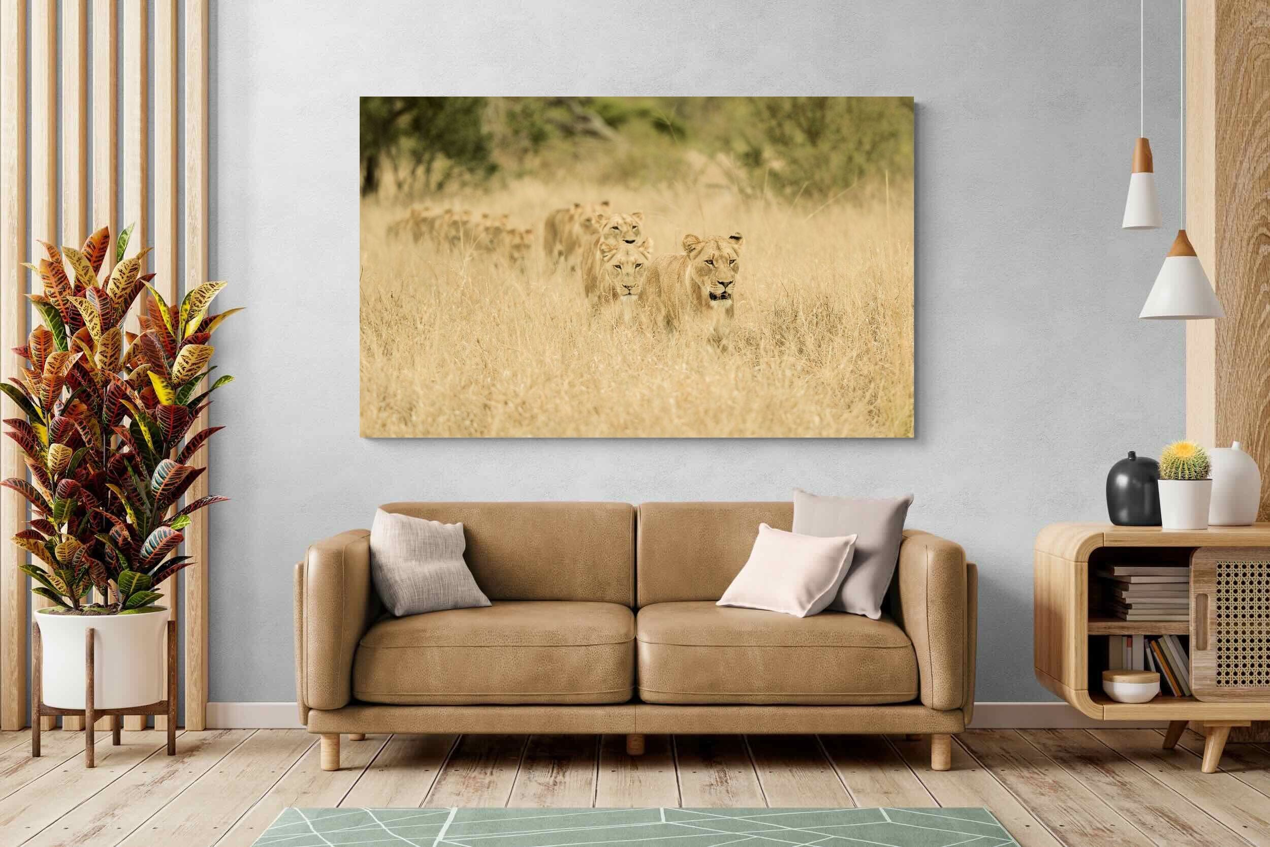 Pixalot Lionesses in Formation