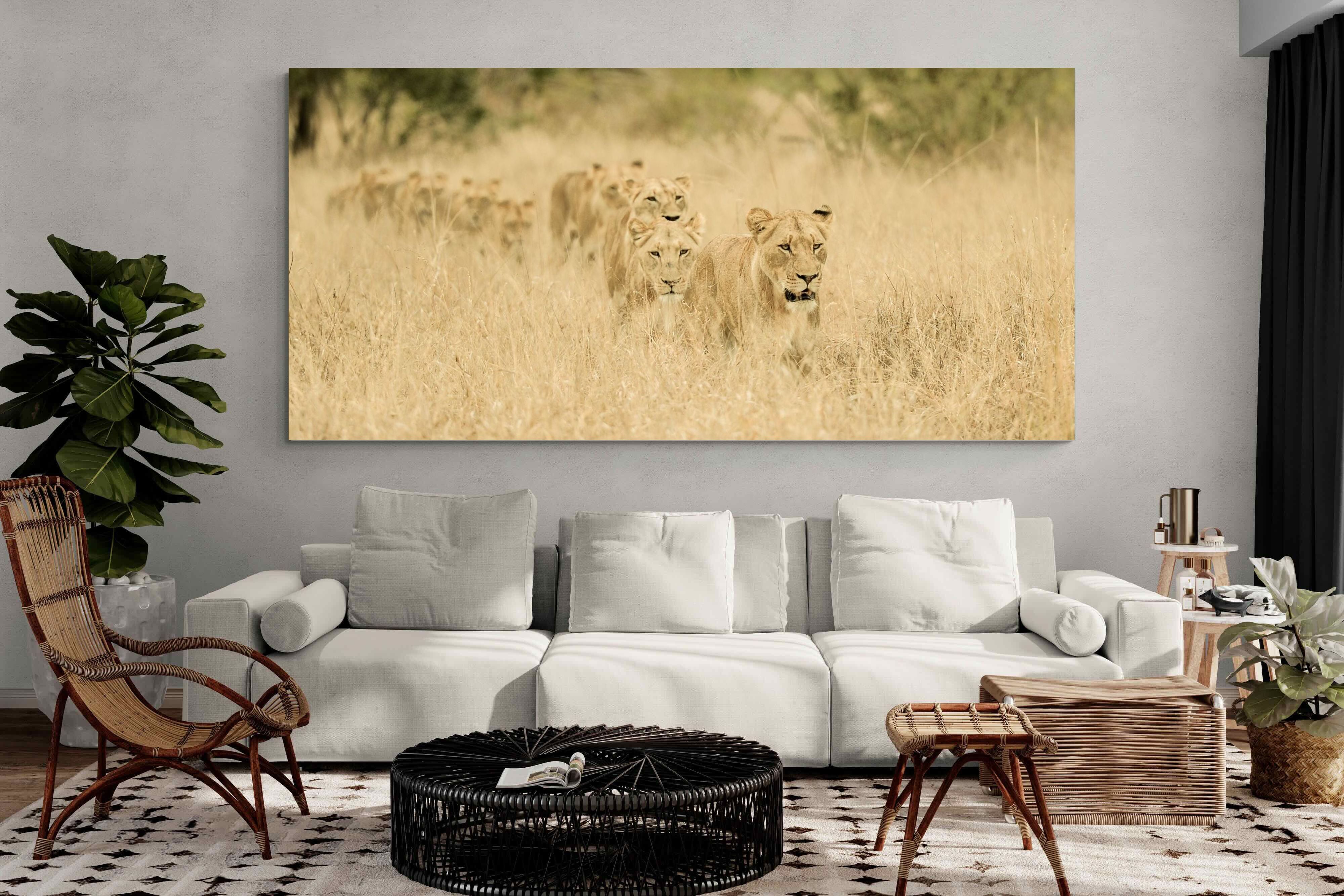 Pixalot Lionesses in Formation