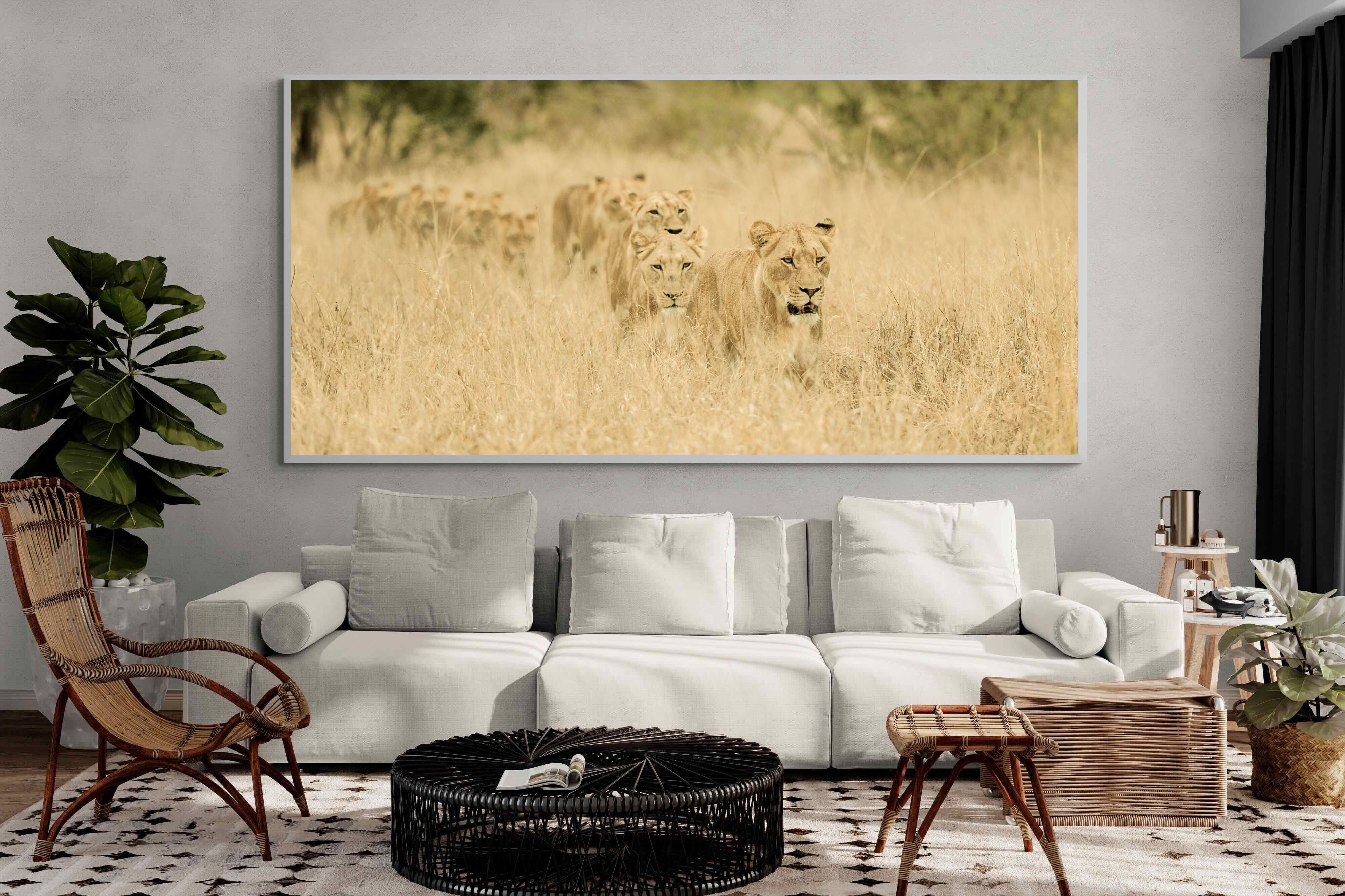 Pixalot Lionesses in Formation