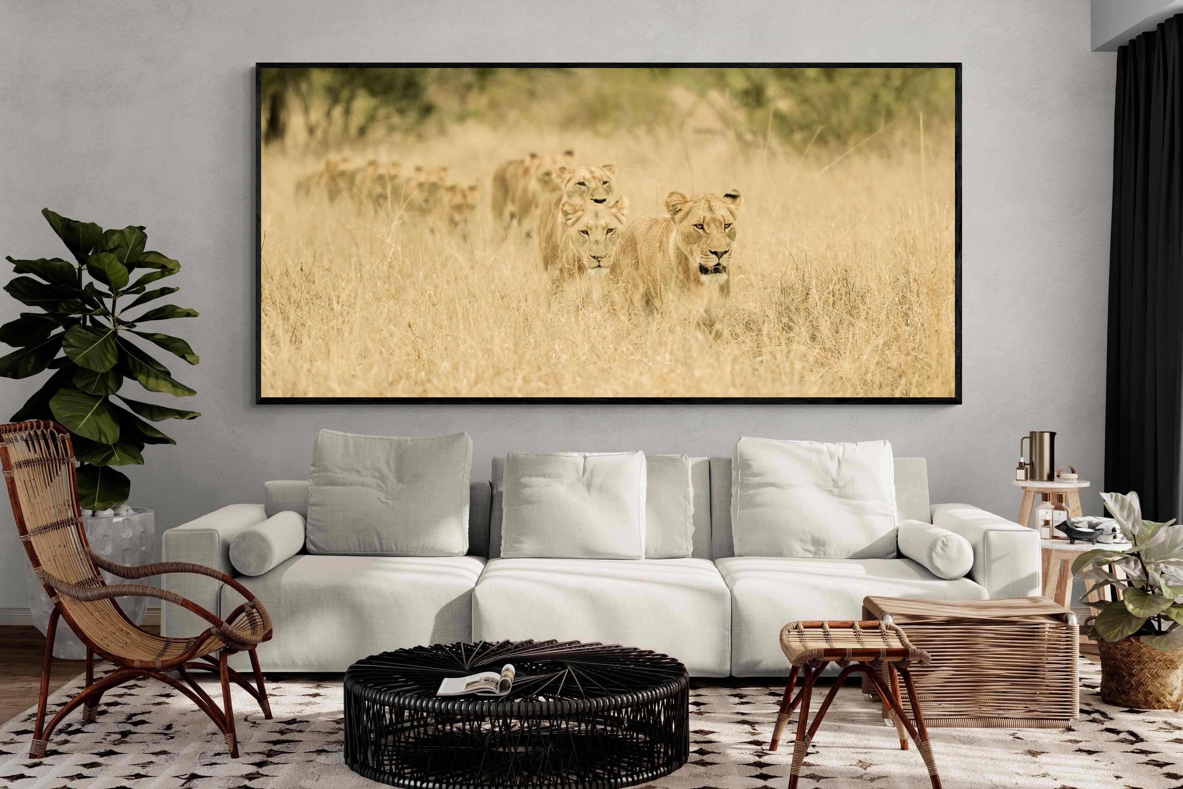 Pixalot Lionesses in Formation