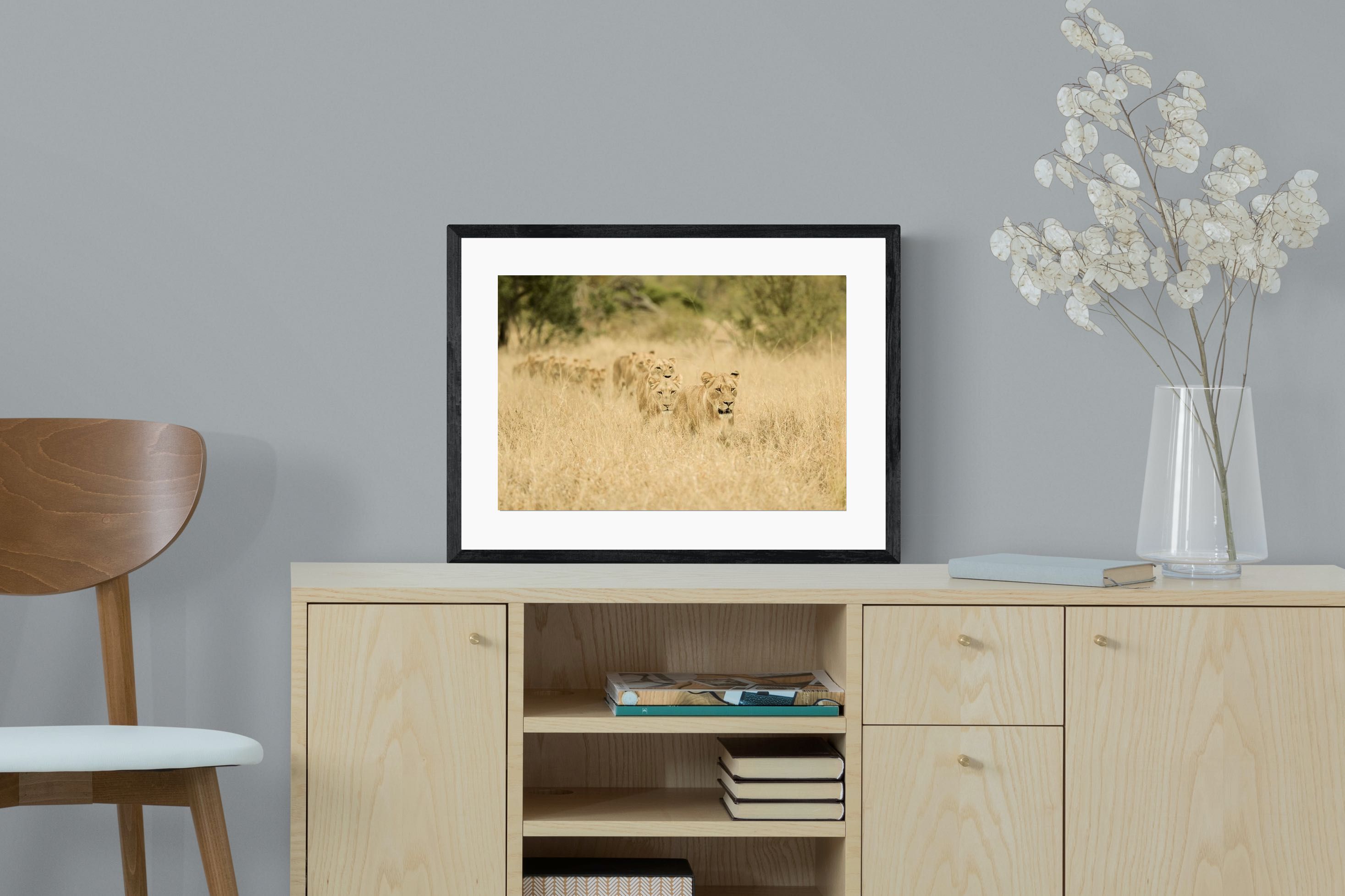 Pixalot Lionesses in Formation