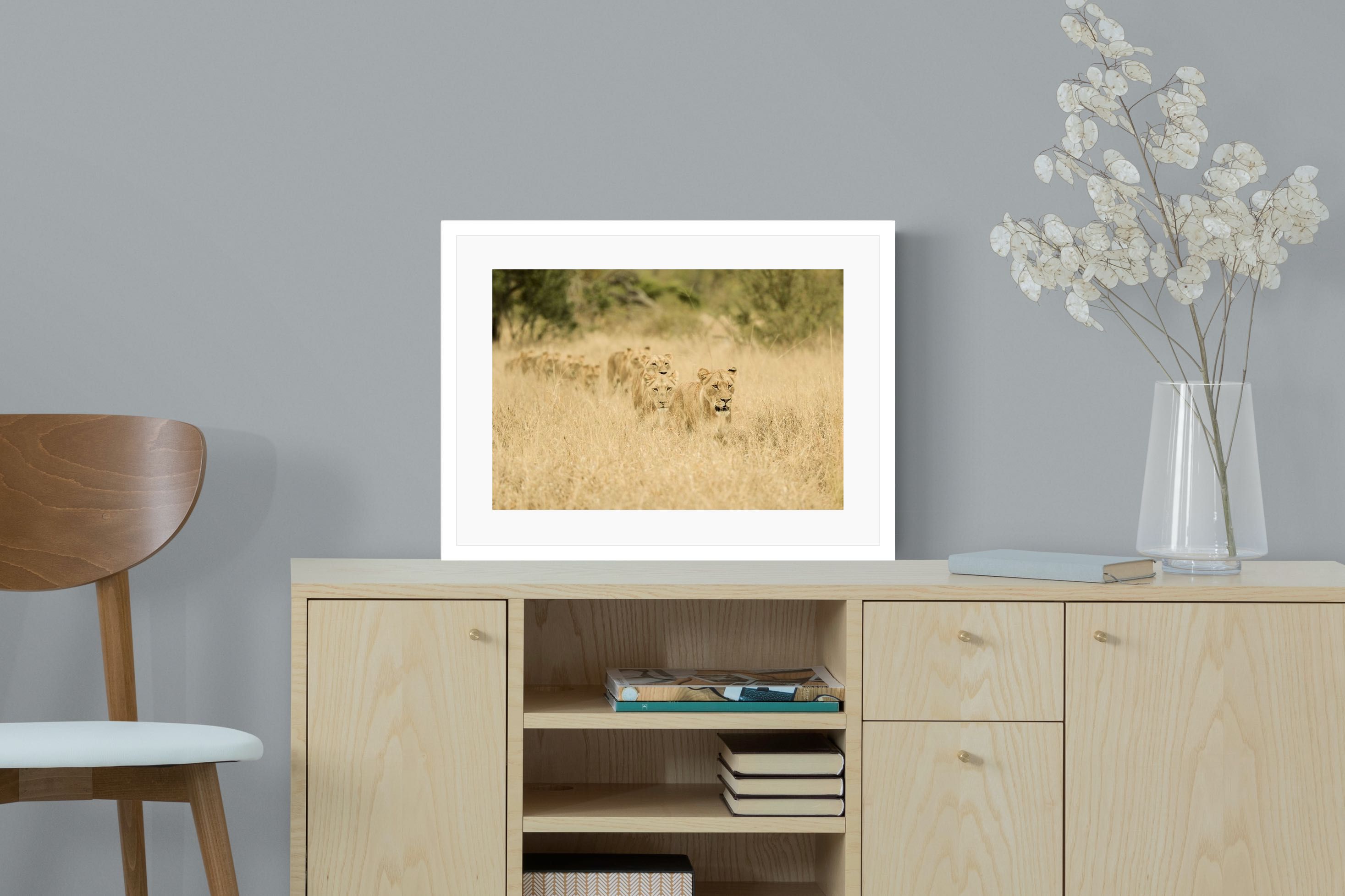 Pixalot Lionesses in Formation