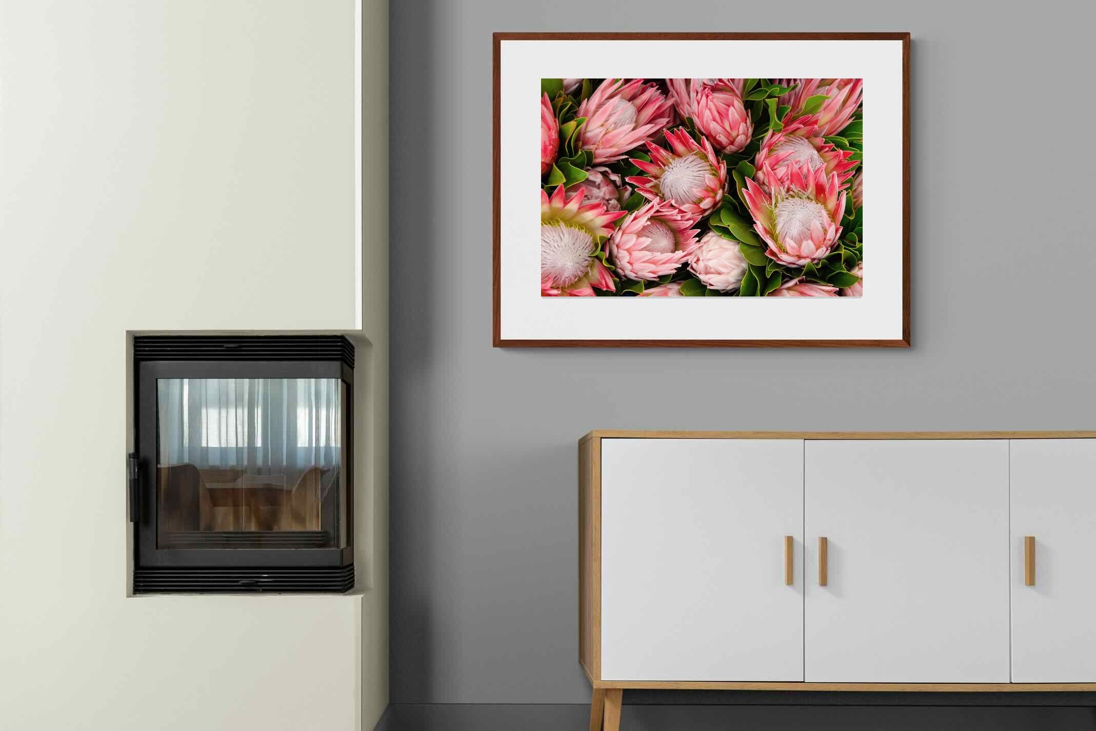 Pixalot ® Lush Proteas