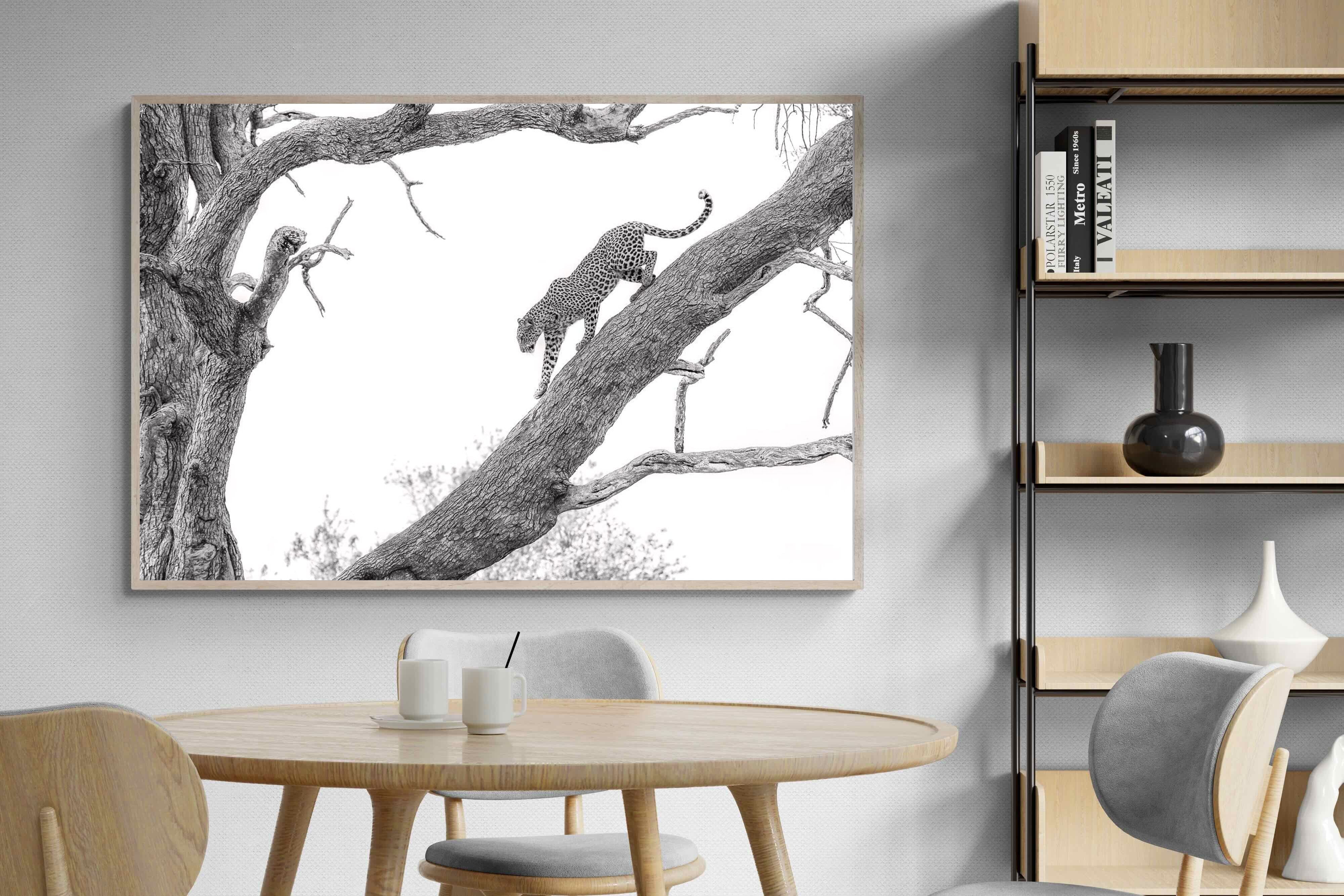 Pixalot Majestic Climber