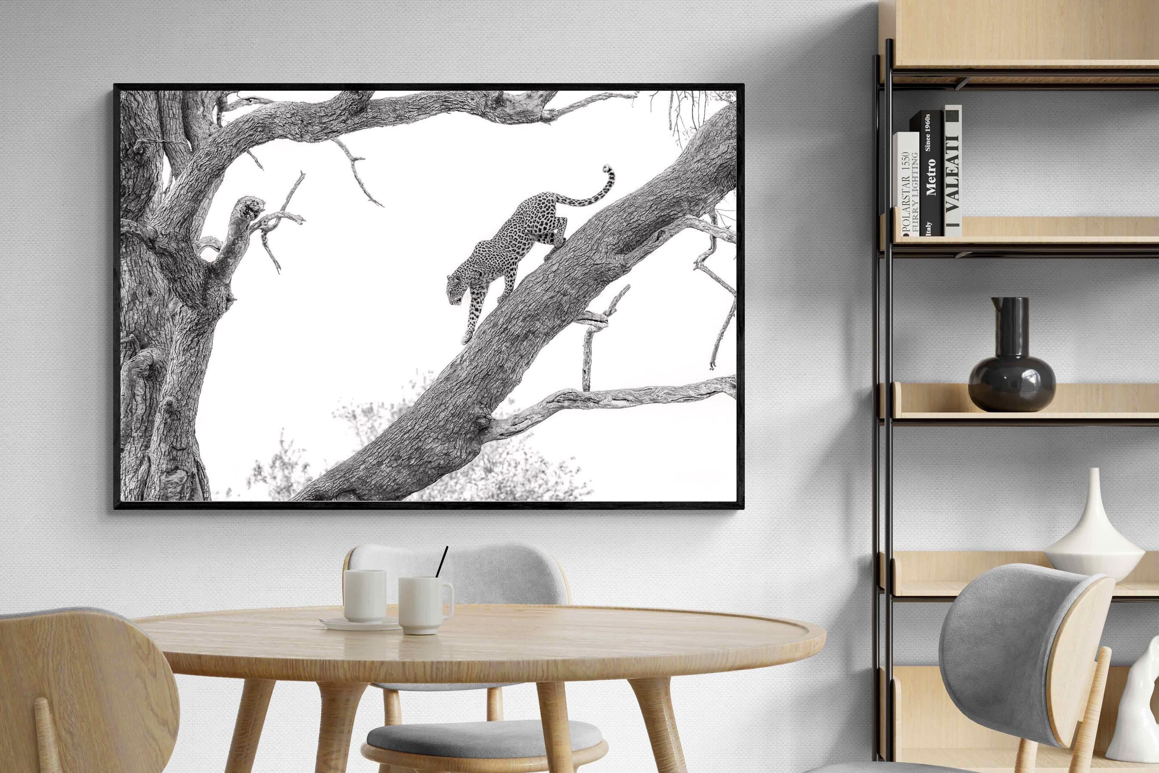 Pixalot Majestic Climber