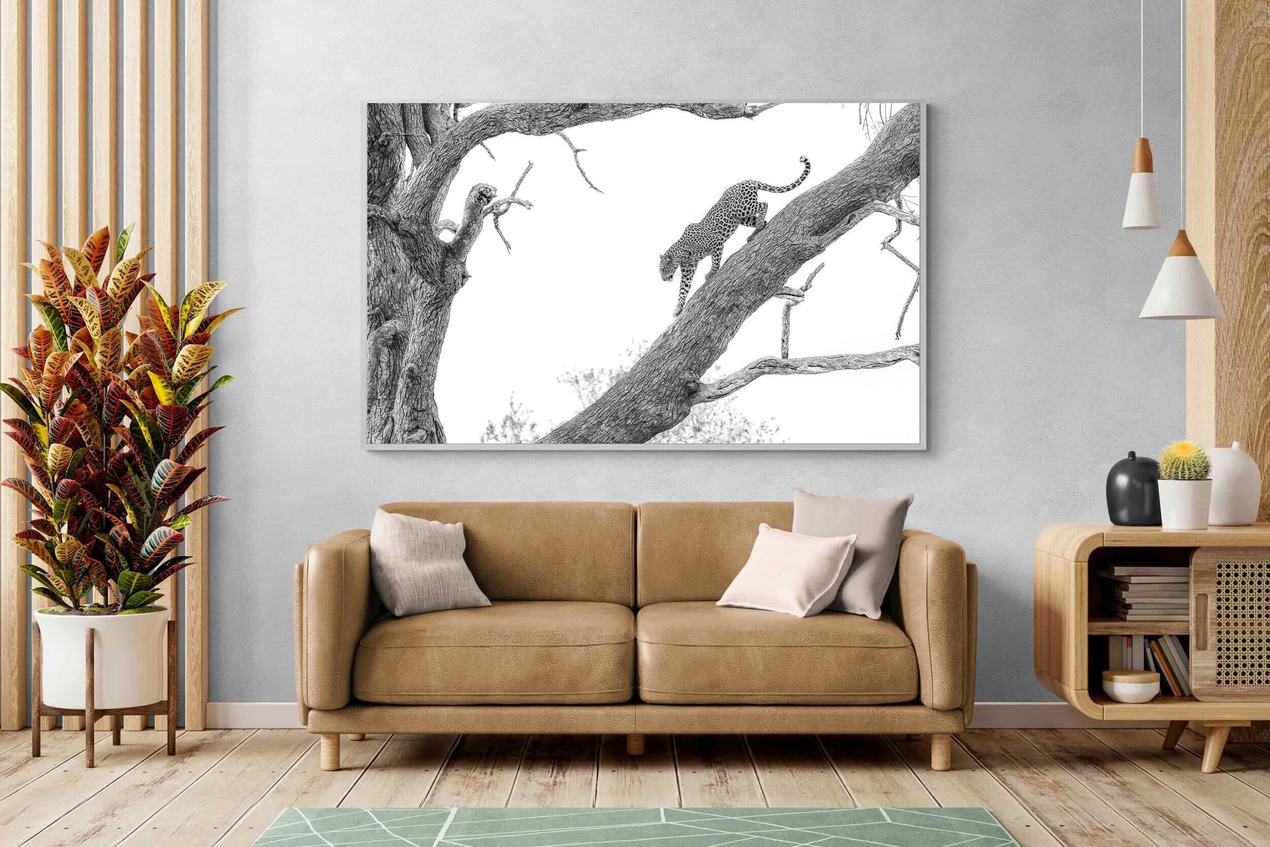 Pixalot Majestic Climber