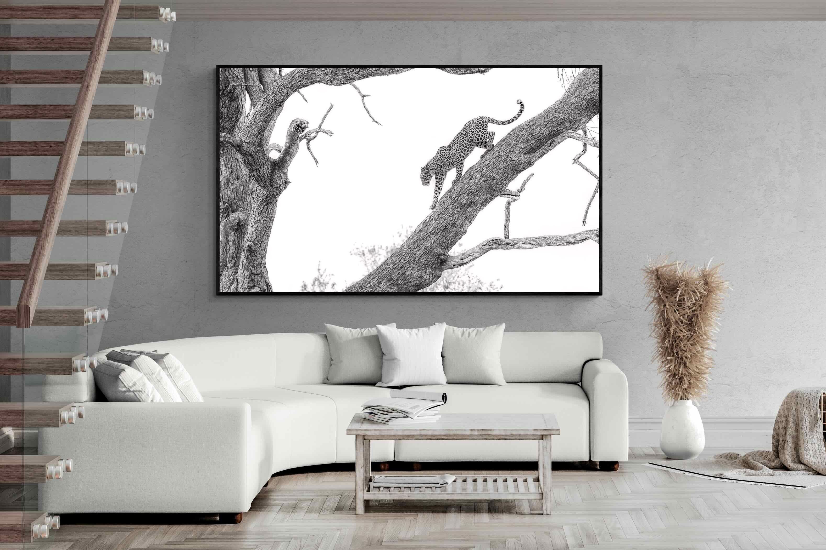 Pixalot Majestic Climber