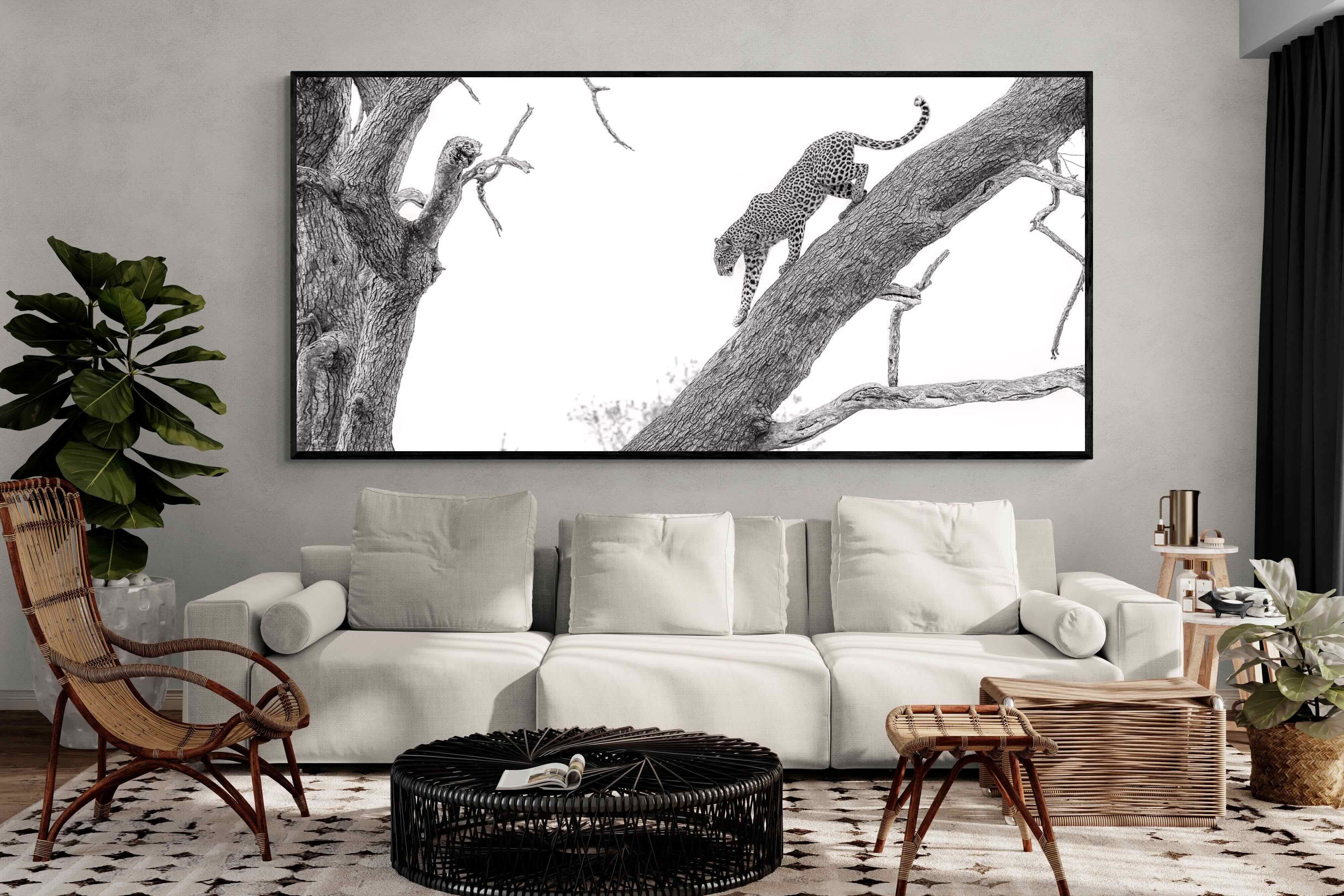 Pixalot Majestic Climber