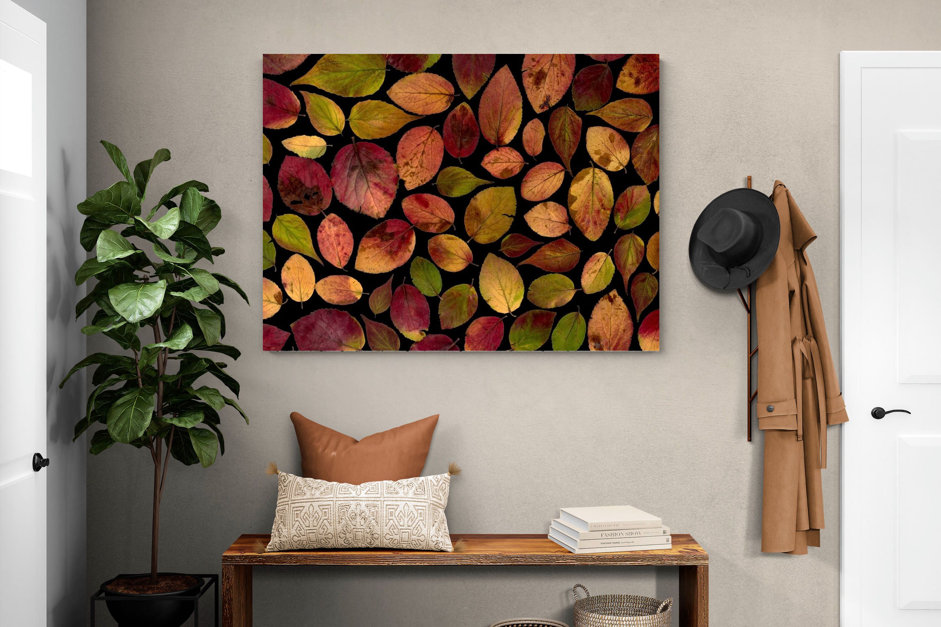 Pixalot Maple Leaves