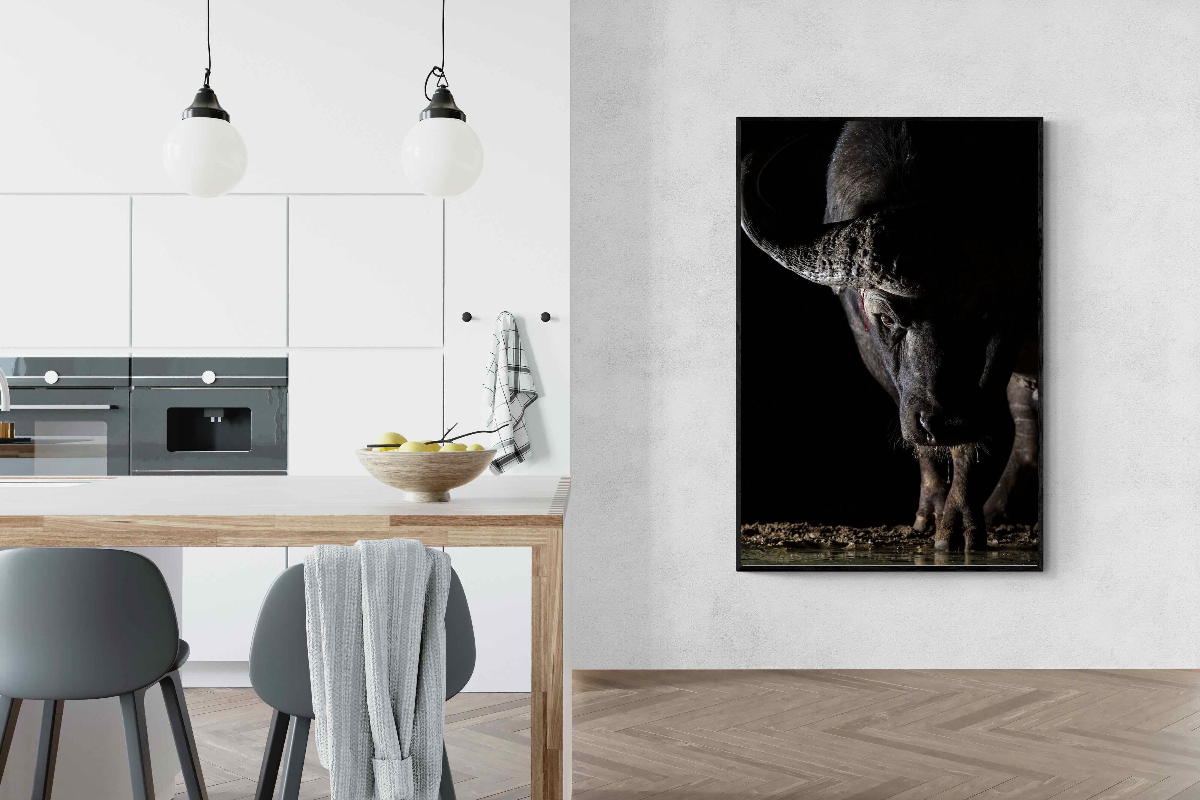 Pixalot Midnight Stare