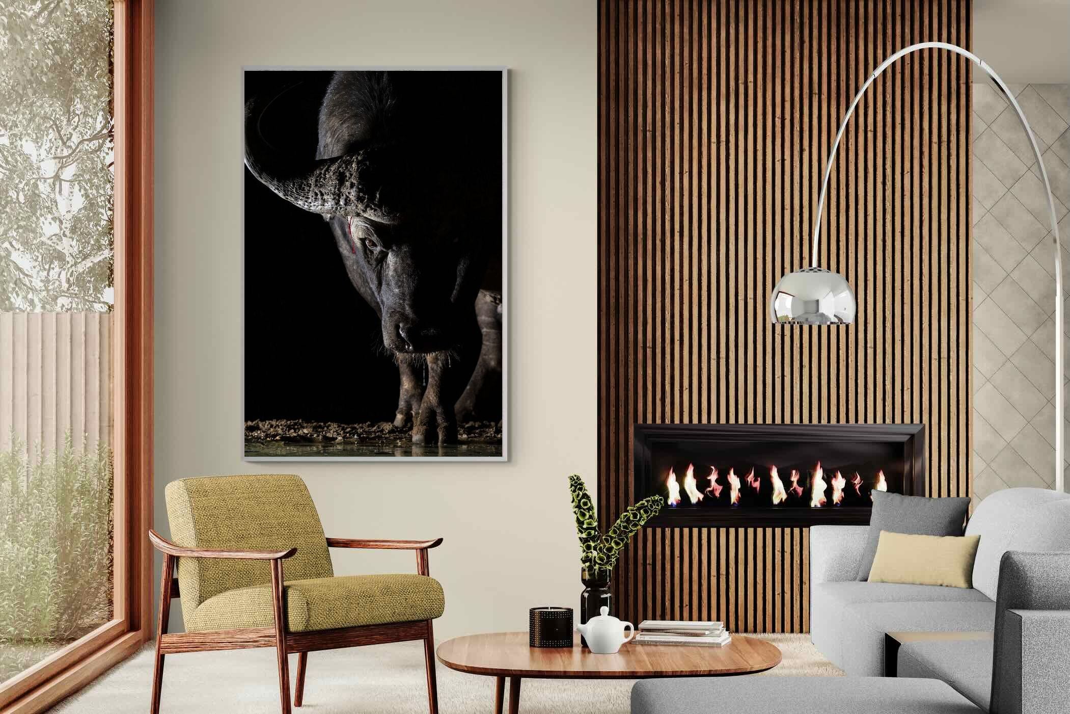 Pixalot Midnight Stare