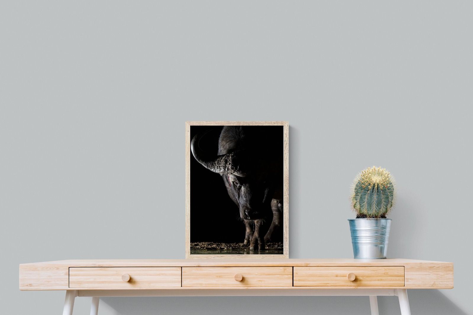 Pixalot Midnight Stare