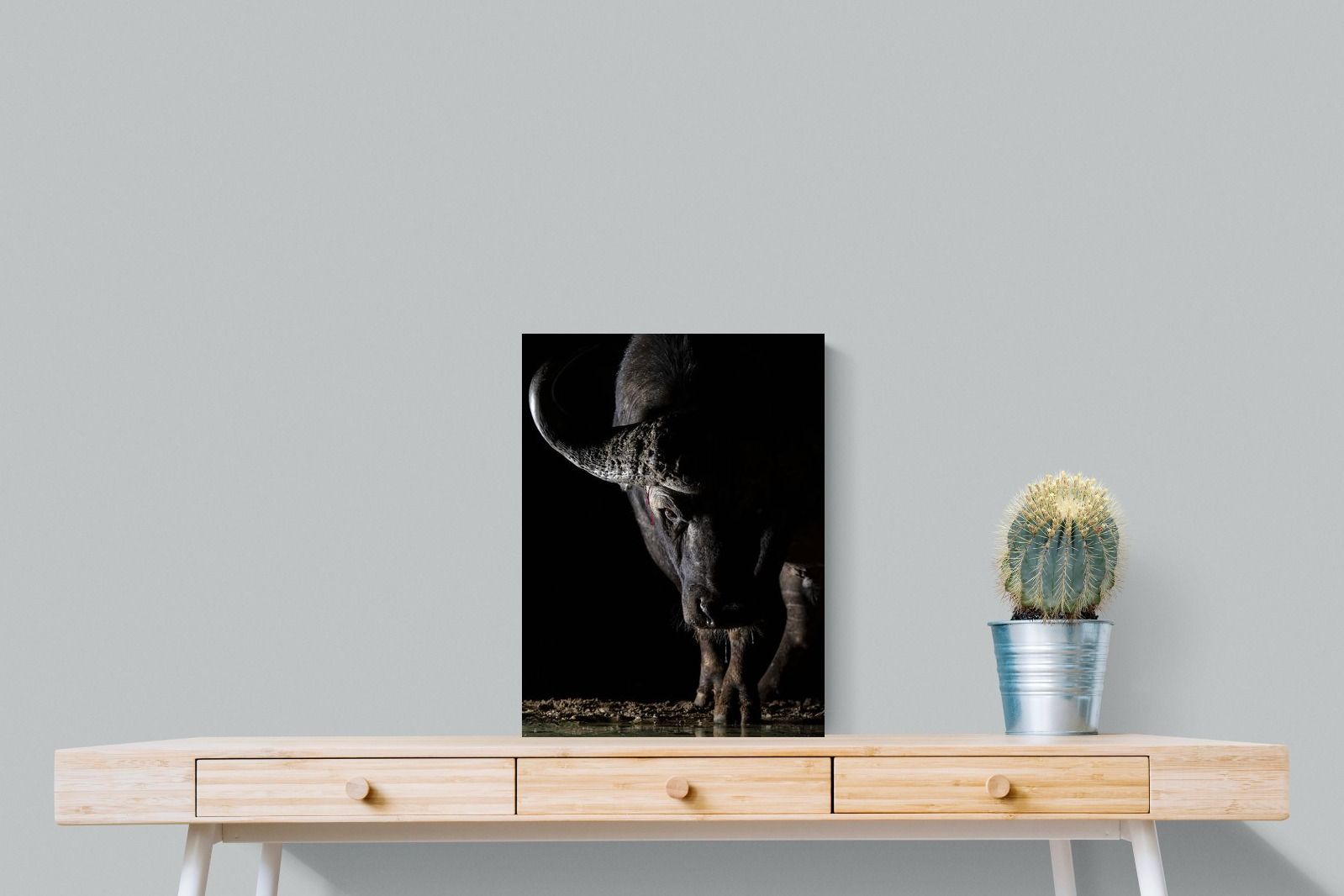 Pixalot Midnight Stare