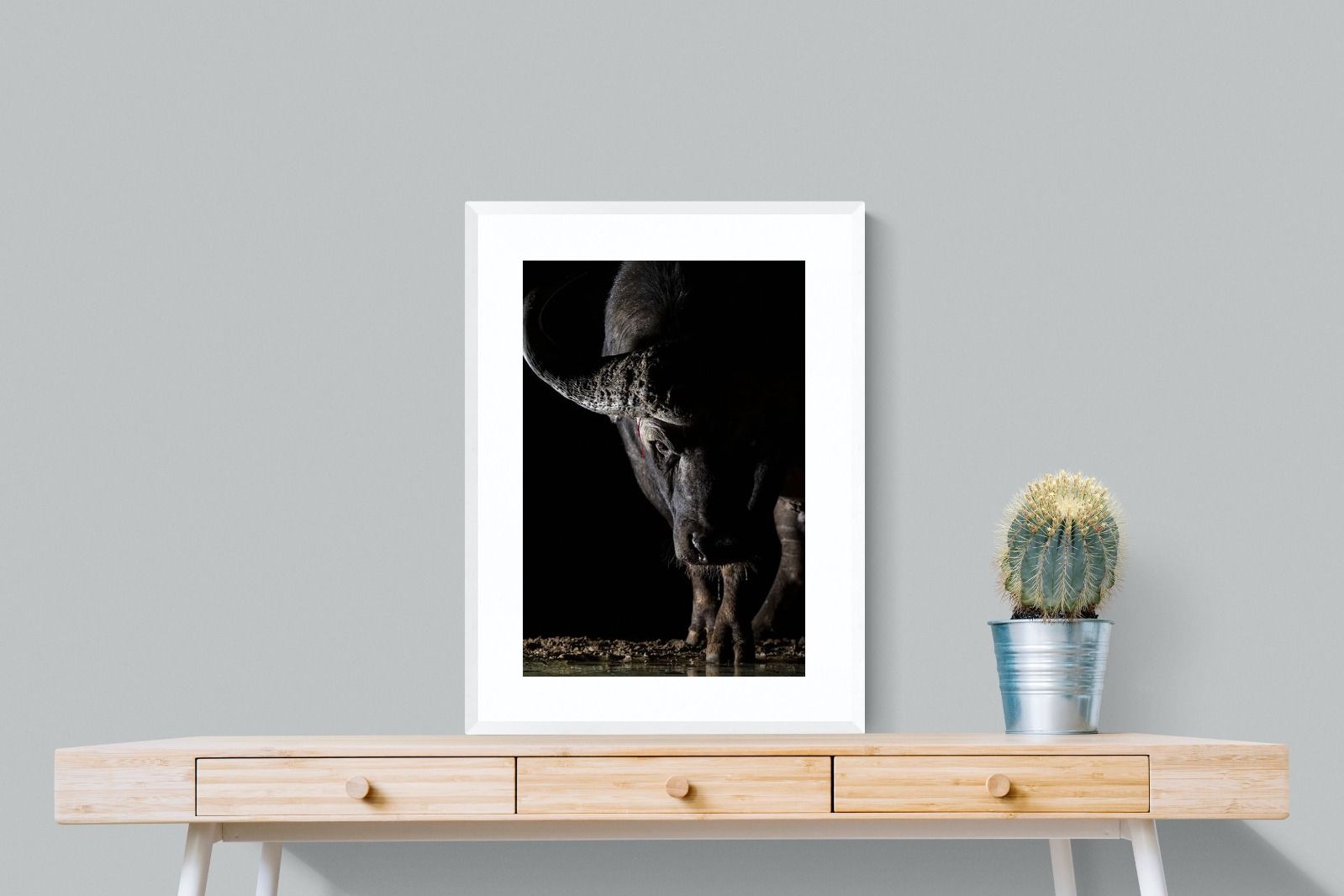 Pixalot Midnight Stare