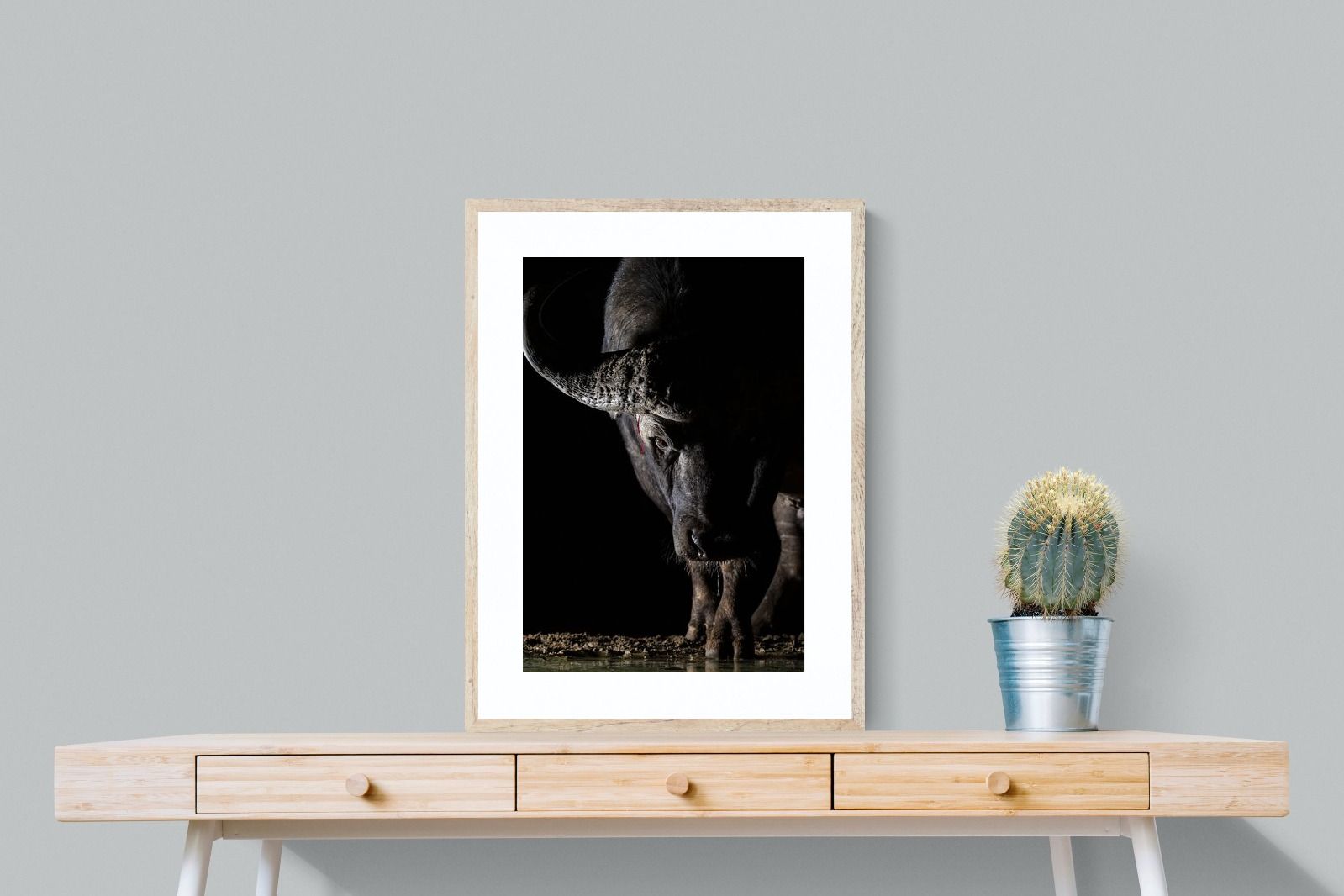 Pixalot Midnight Stare