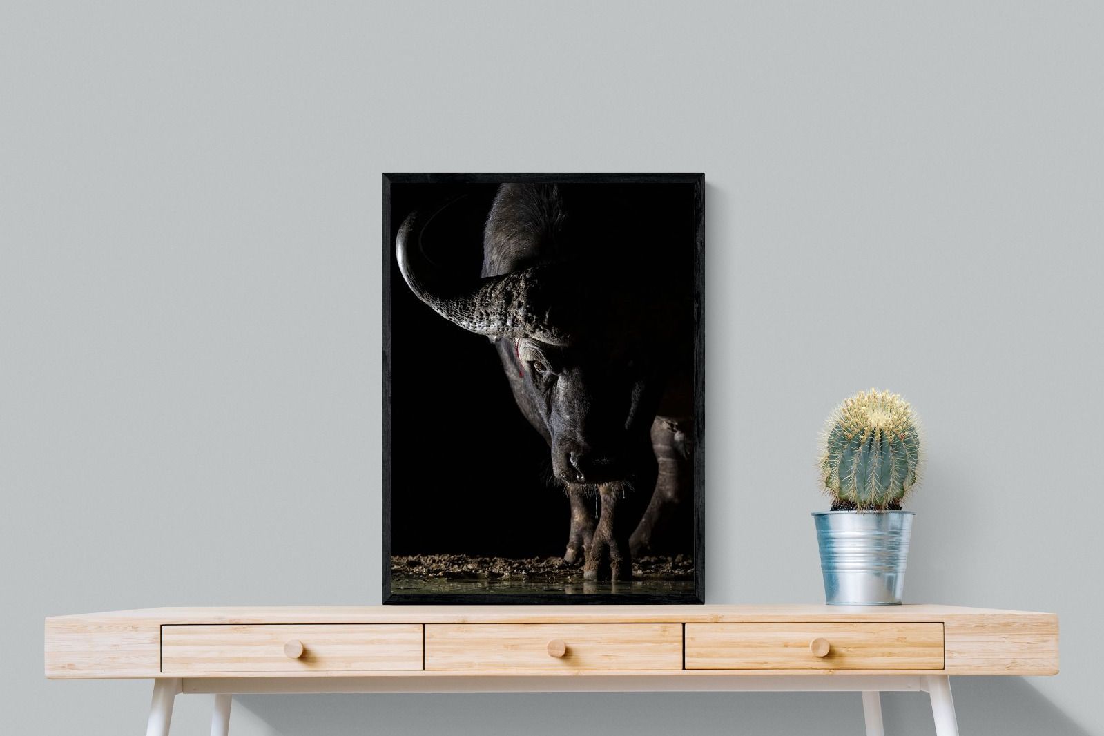 Pixalot Midnight Stare