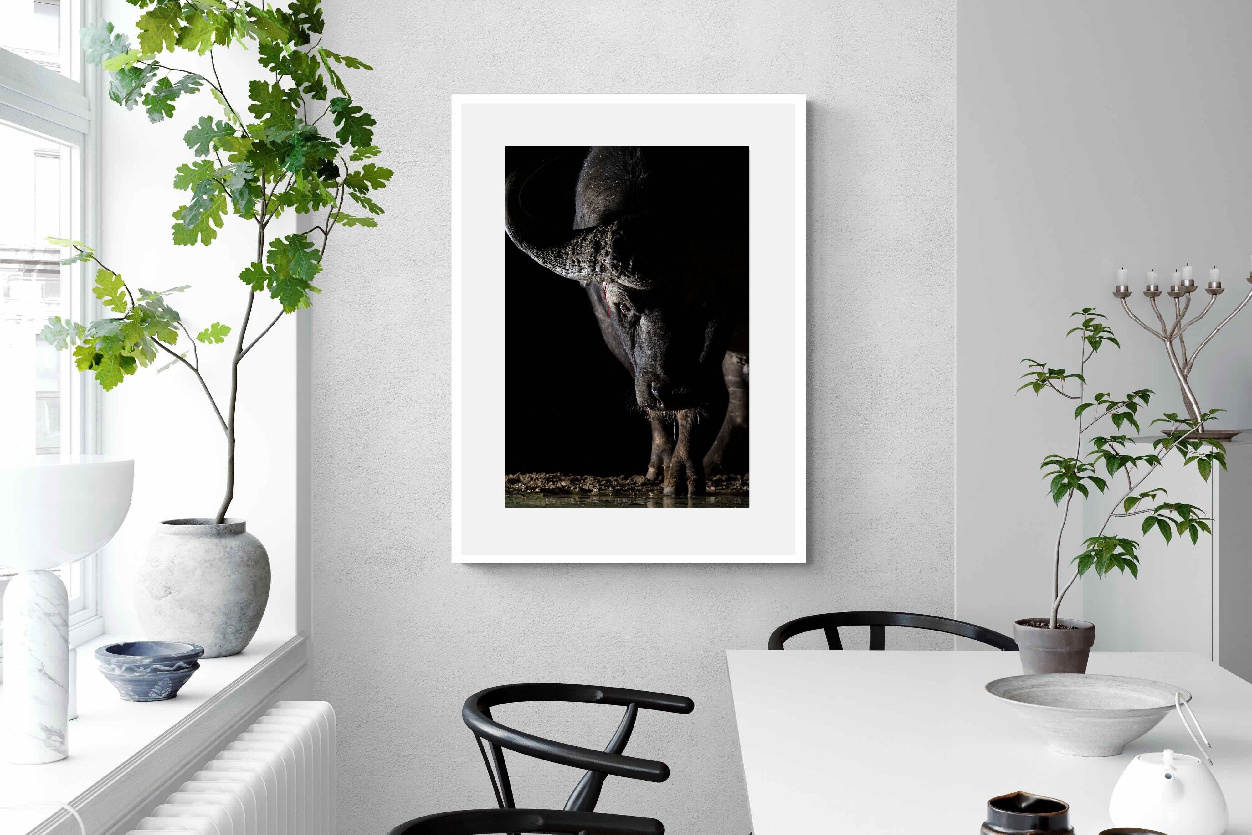 Pixalot Midnight Stare