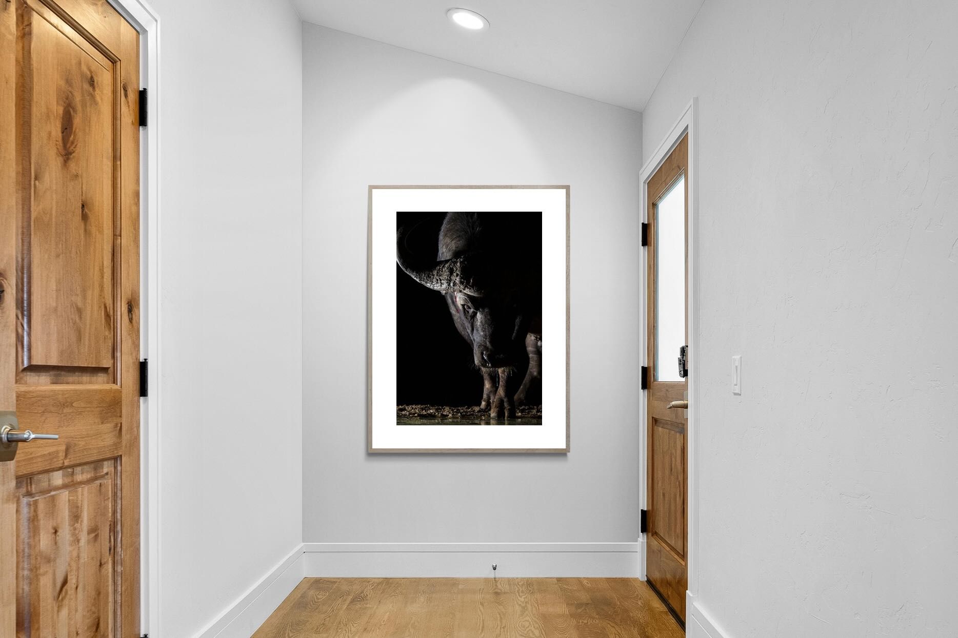 Pixalot Midnight Stare