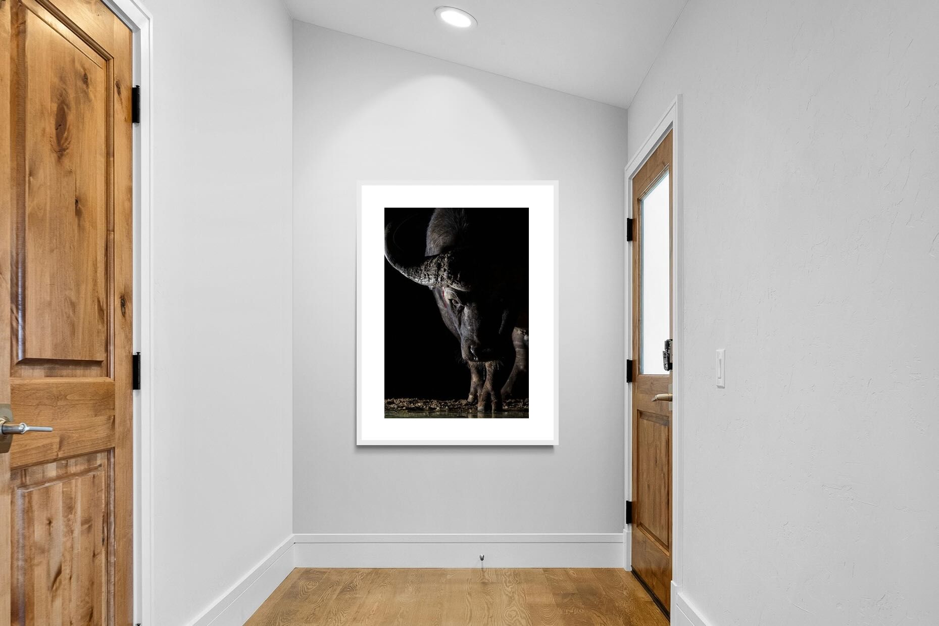 Pixalot Midnight Stare