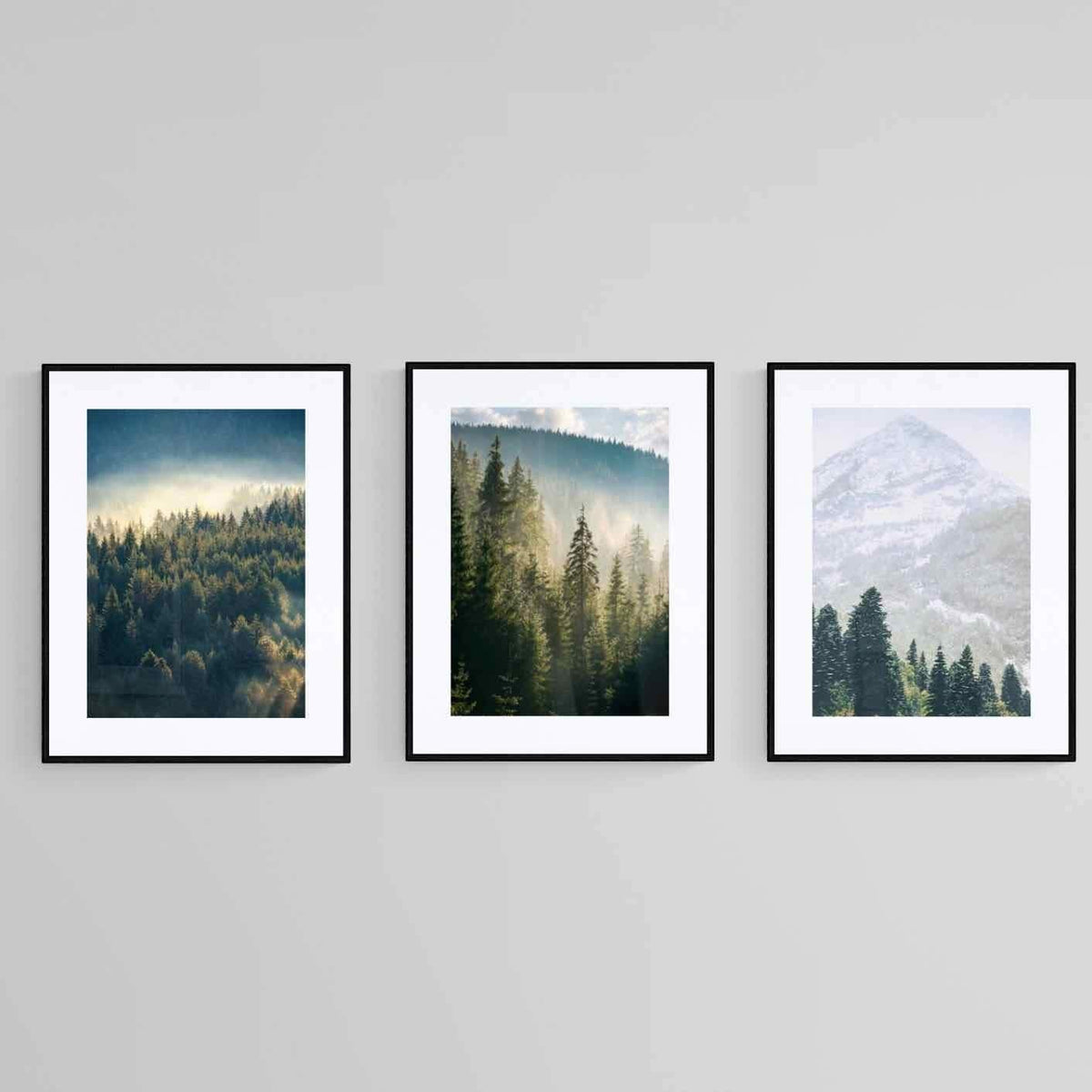Misty Forest Set Wall Art | Canvas & Framed Prints – Pixalot