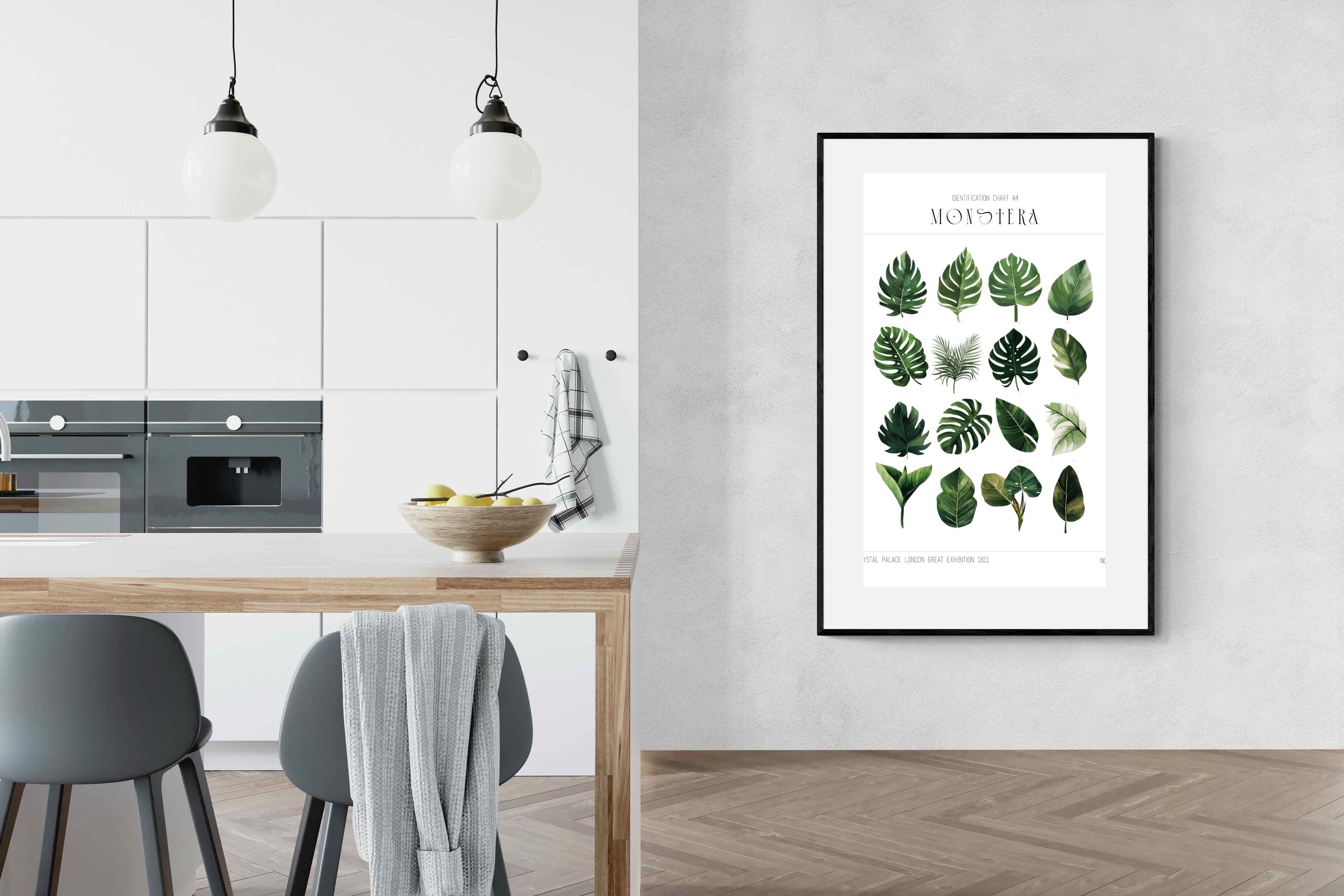 Pixalot Monstera Illustration Collection