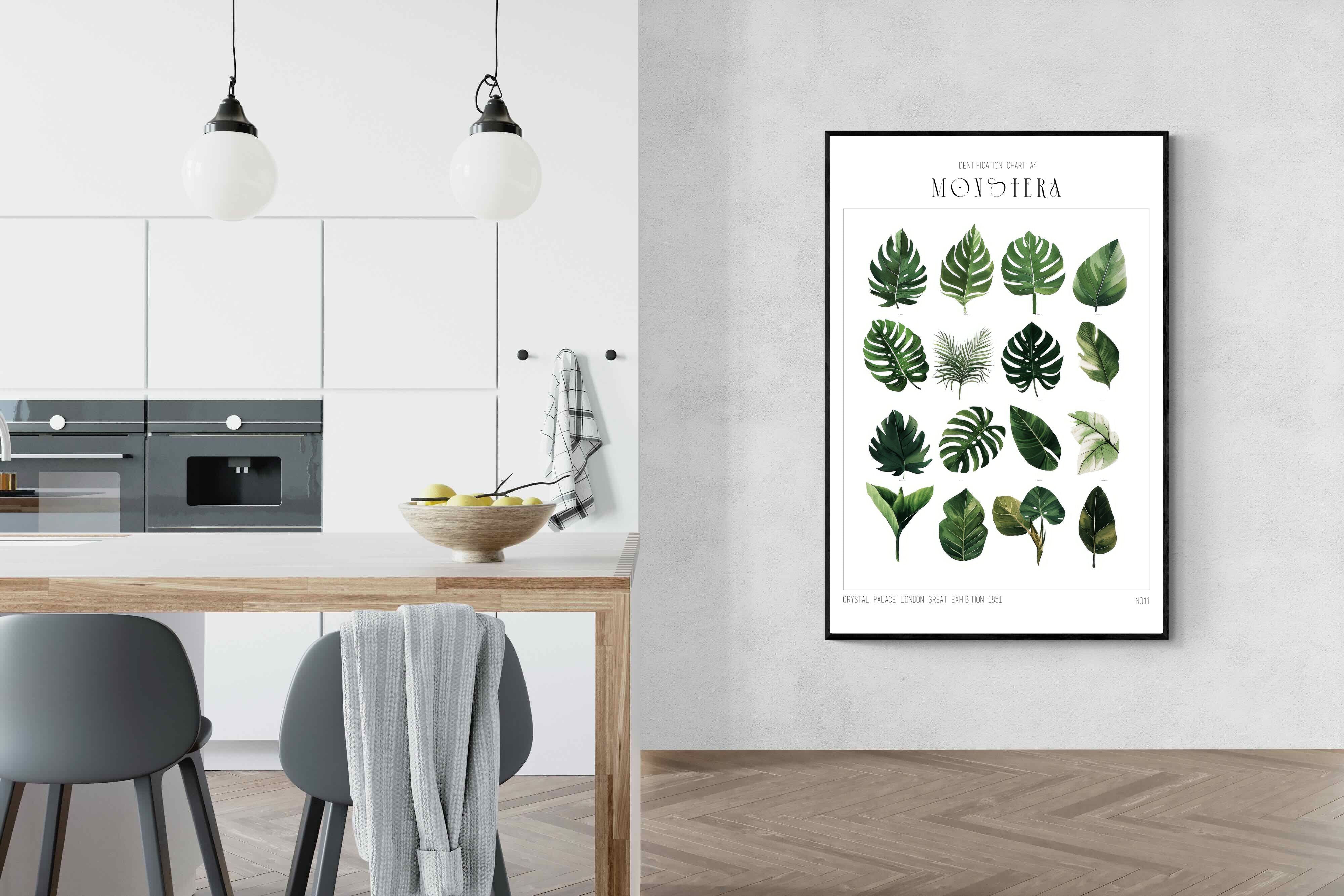 Pixalot Monstera Illustration Collection