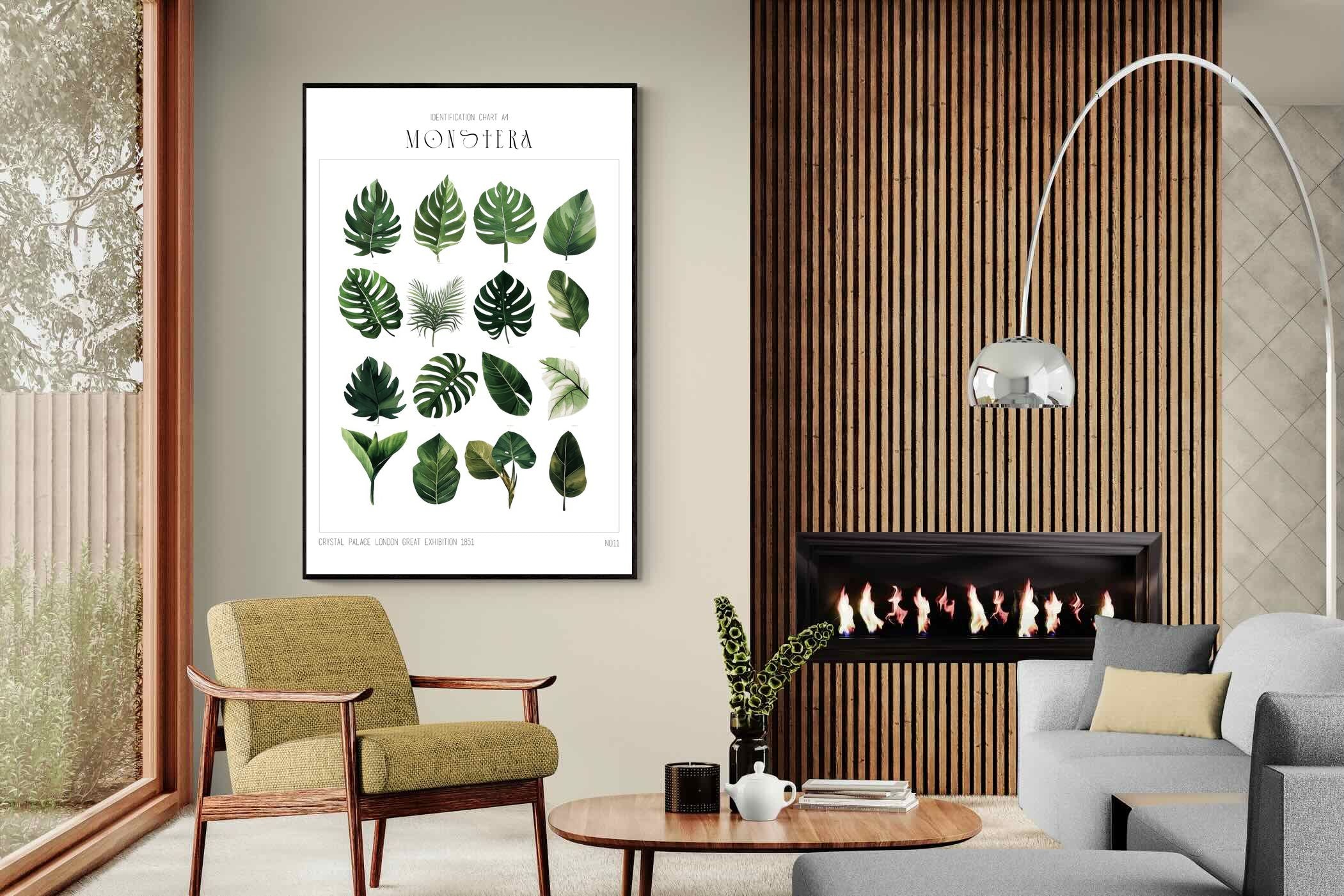 Pixalot Monstera Illustration Collection