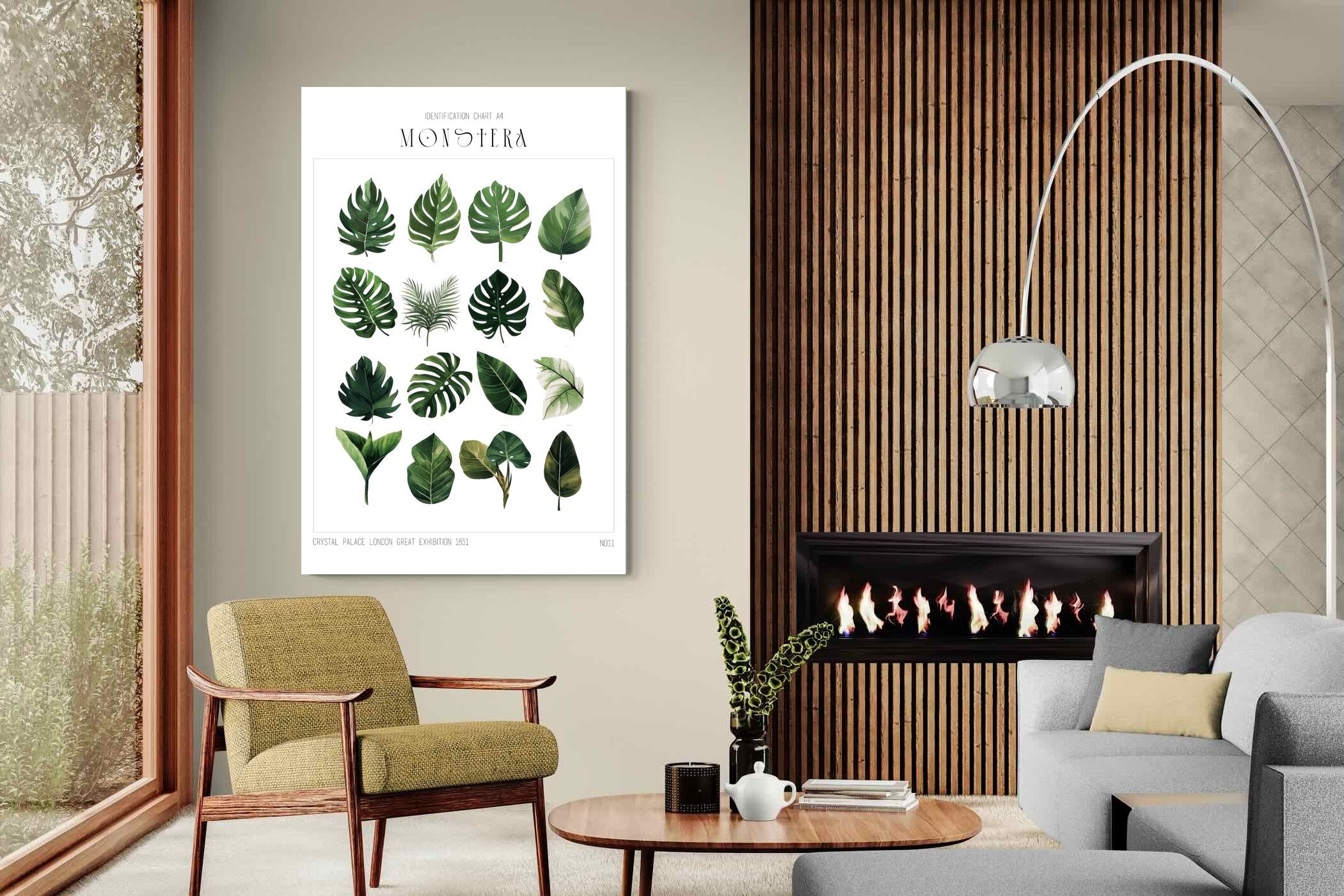 Pixalot Monstera Illustration Collection