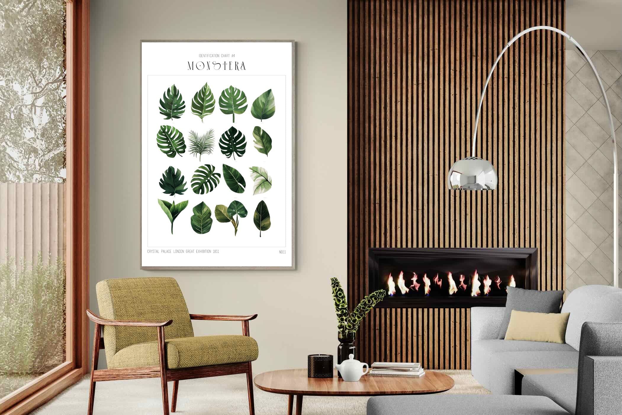 Pixalot Monstera Illustration Collection