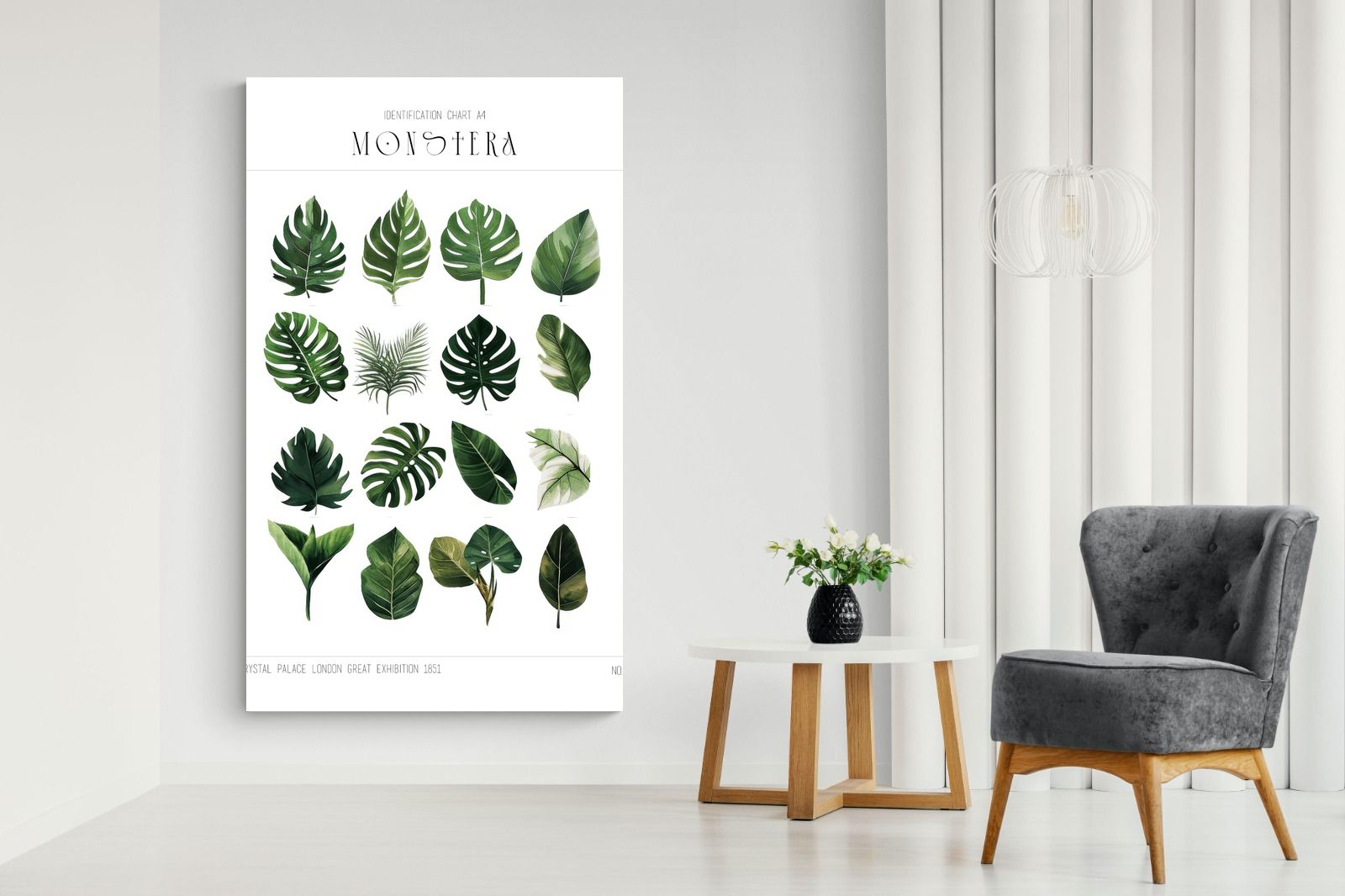 Pixalot Monstera Illustration Collection