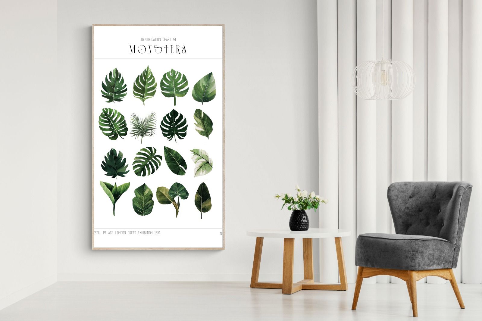 Pixalot Monstera Illustration Collection