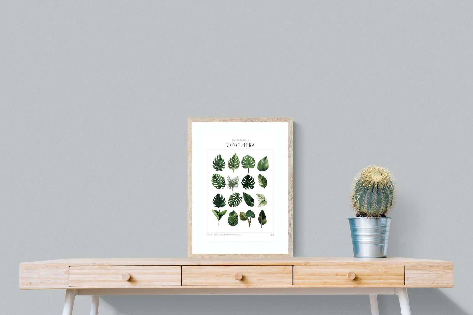 Pixalot Monstera Illustration Collection