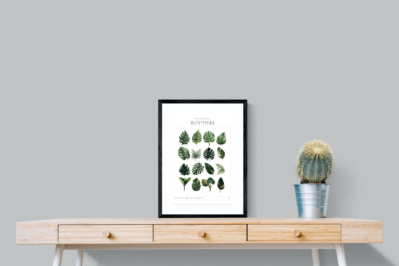 Pixalot Monstera Illustration Collection