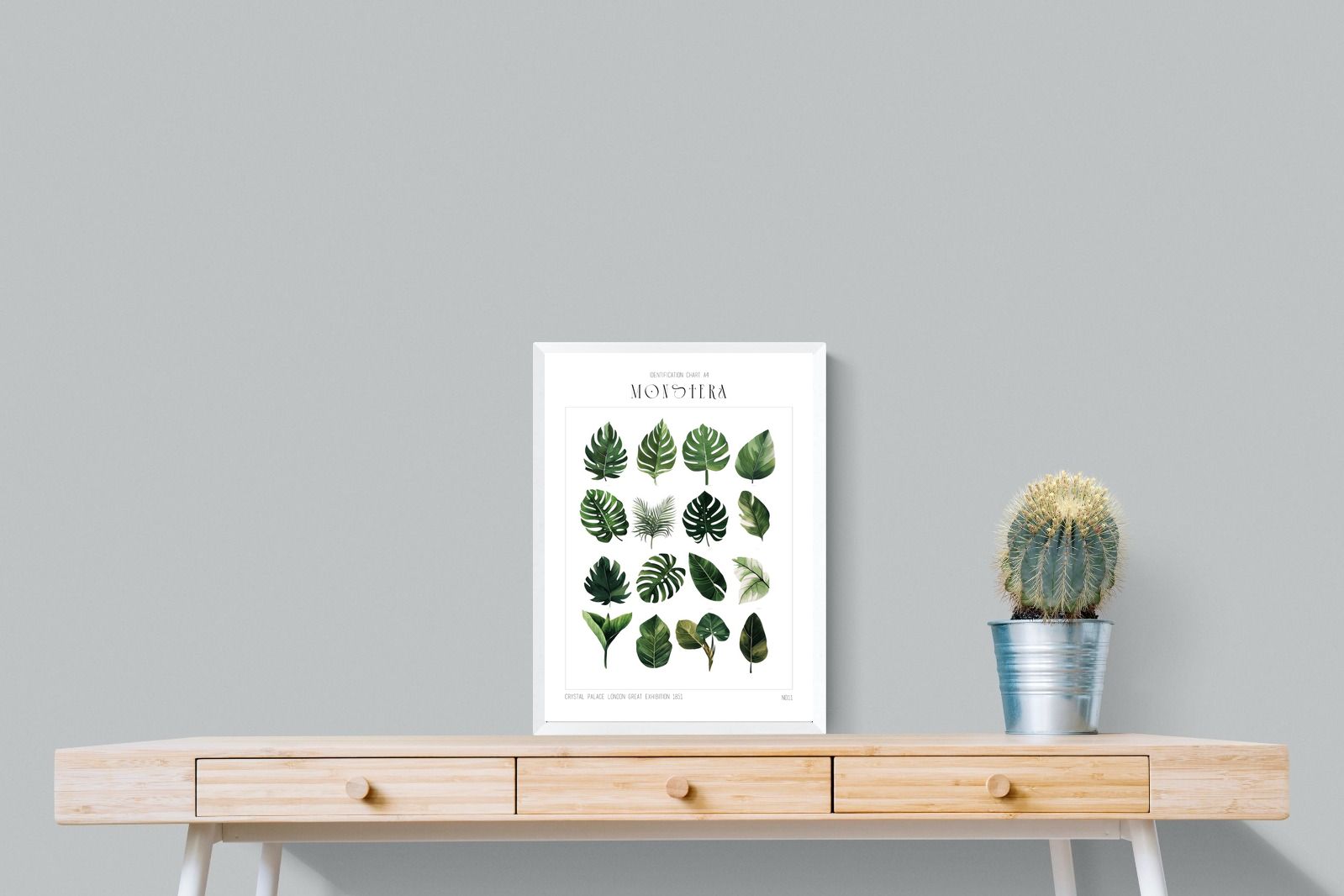 Pixalot Monstera Illustration Collection