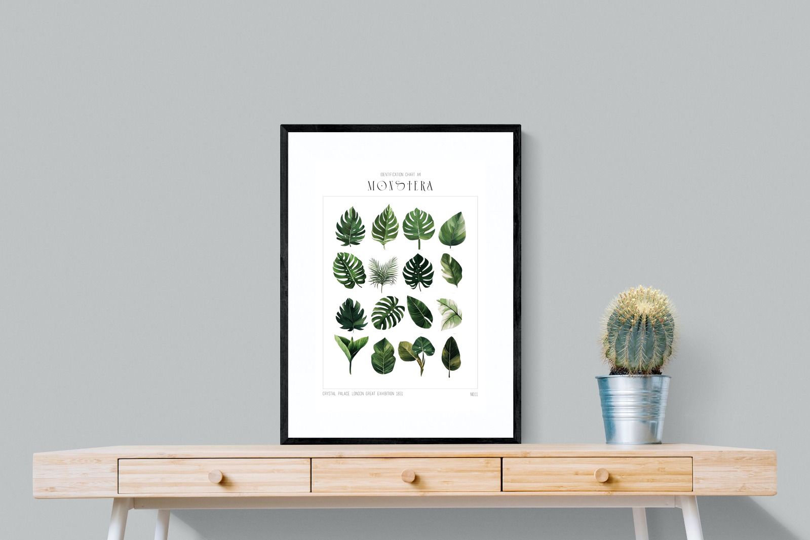 Pixalot Monstera Illustration Collection