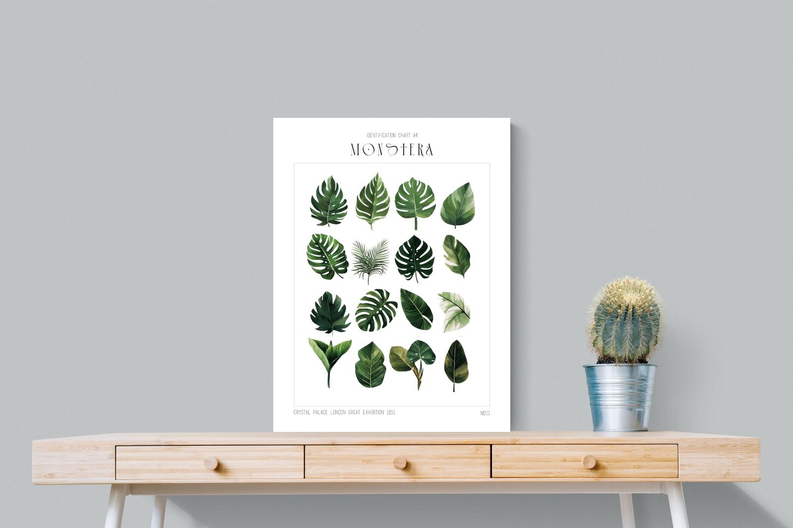 Pixalot Monstera Illustration Collection