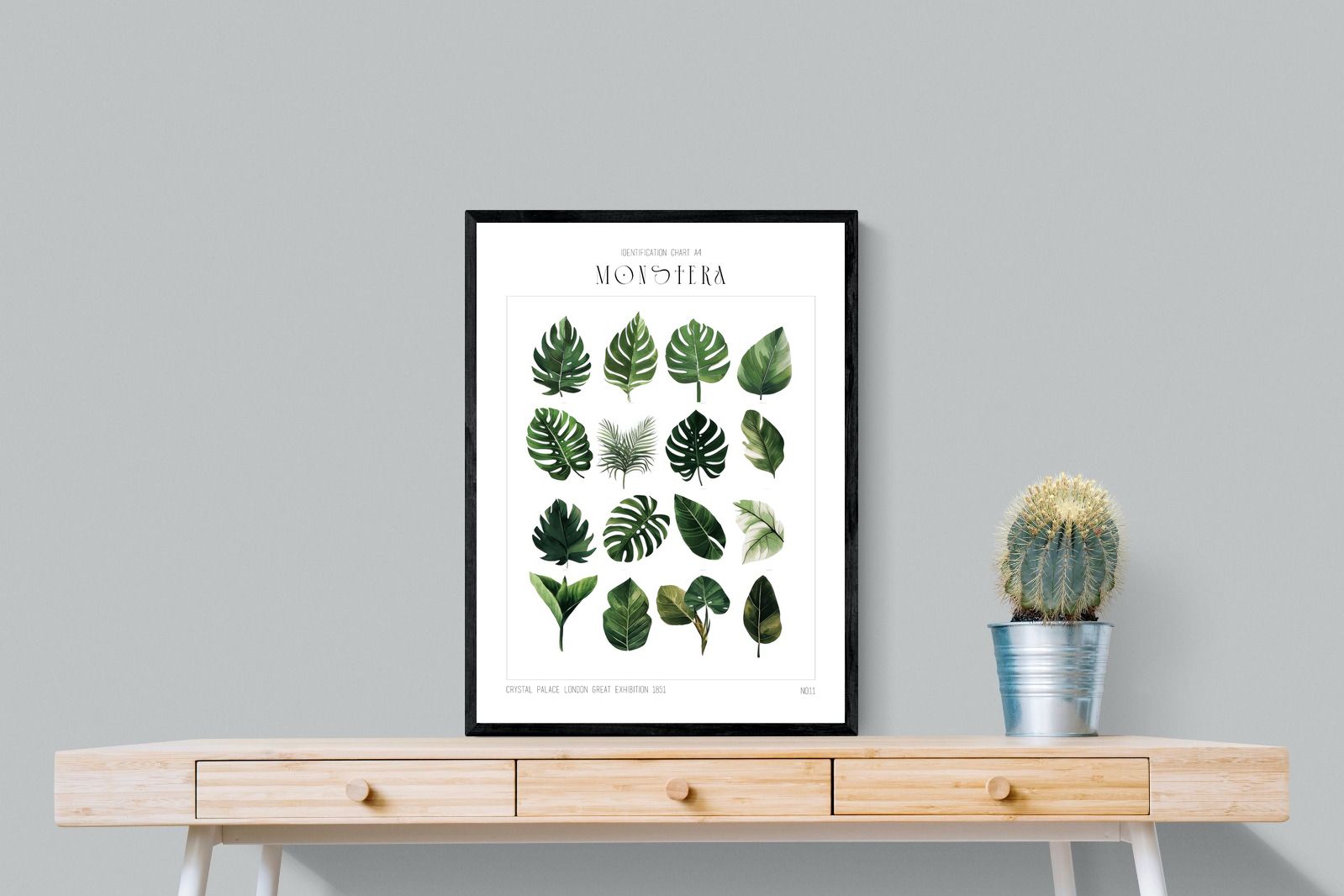 Pixalot Monstera Illustration Collection
