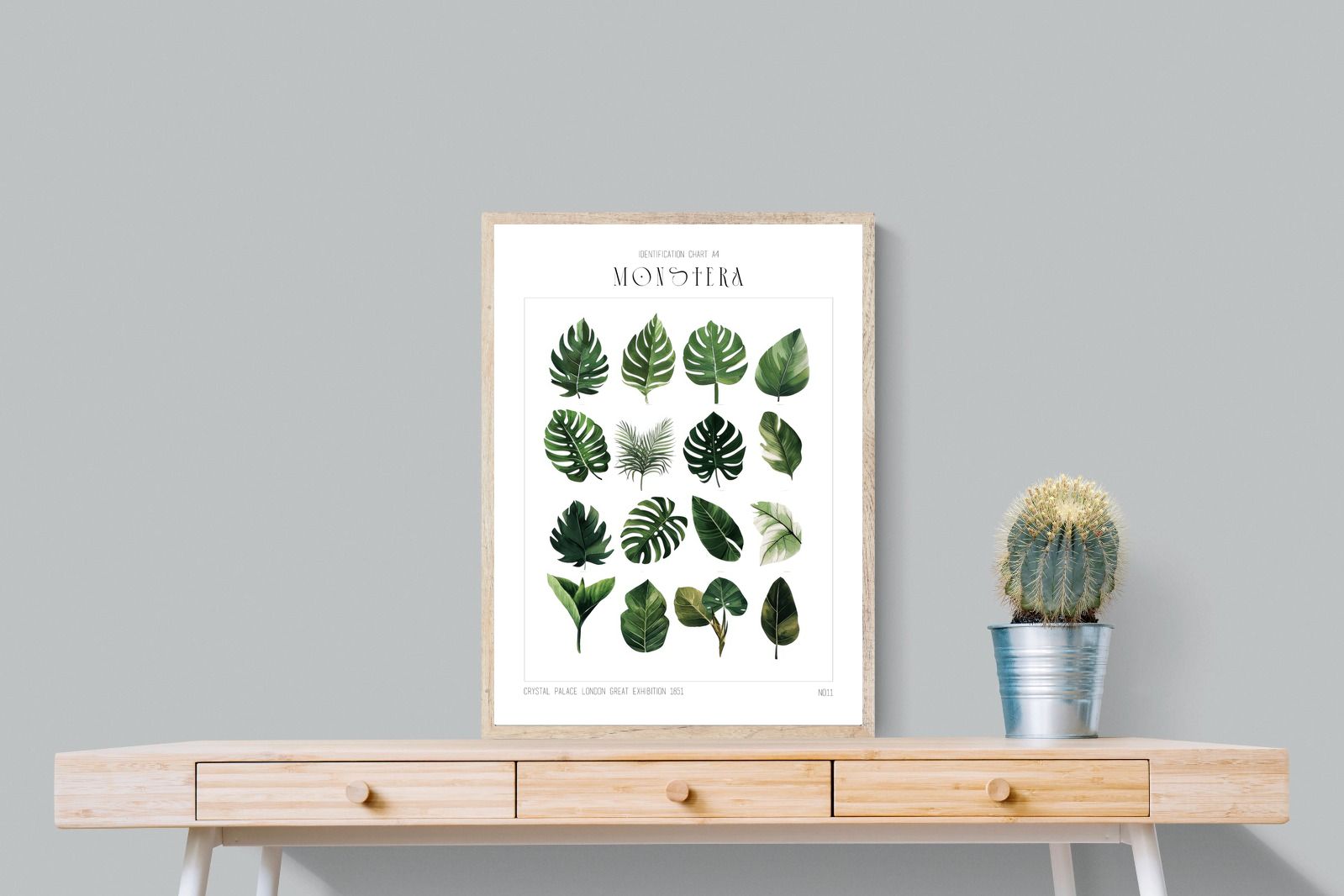 Pixalot Monstera Illustration Collection