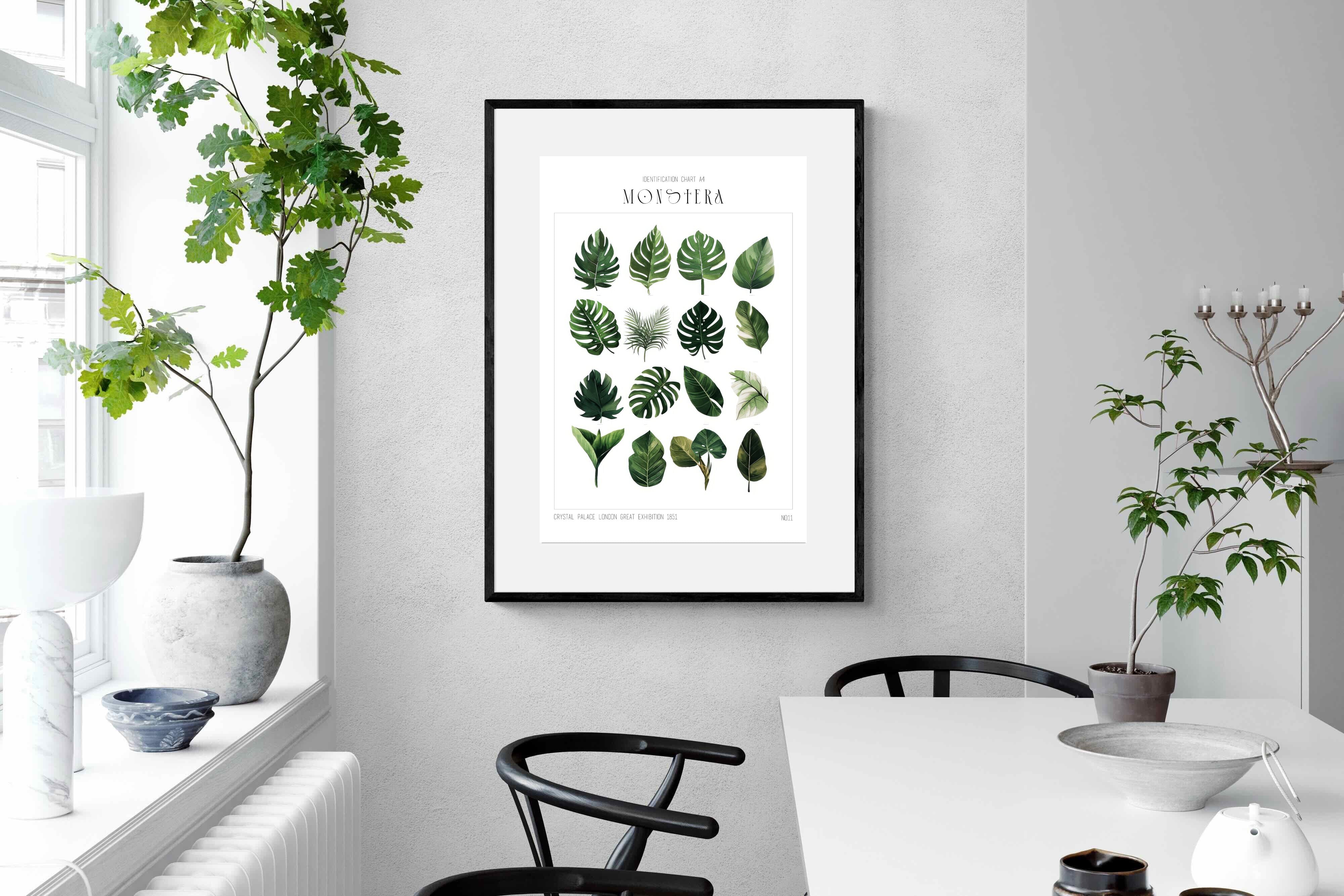 Pixalot Monstera Illustration Collection