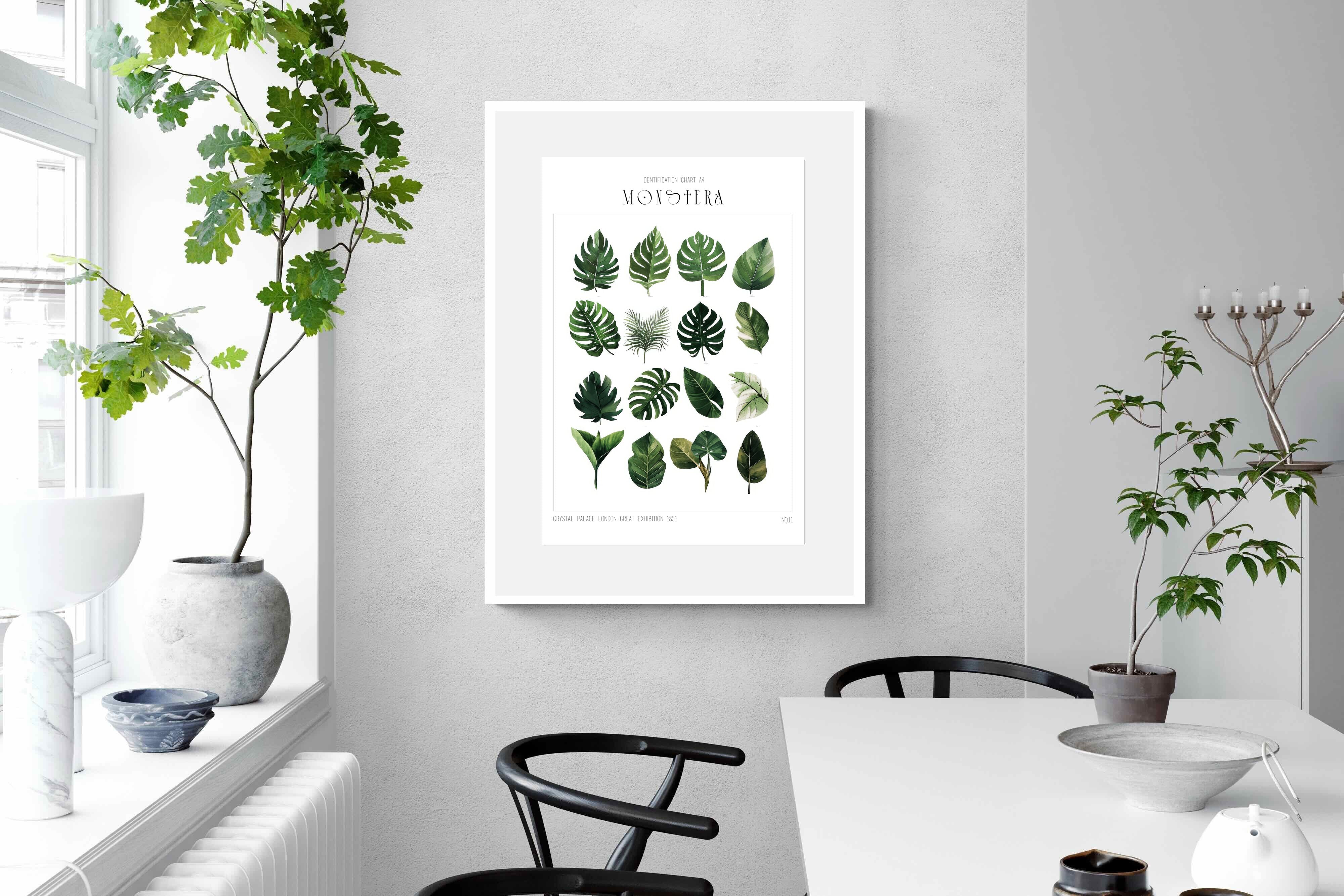 Pixalot Monstera Illustration Collection