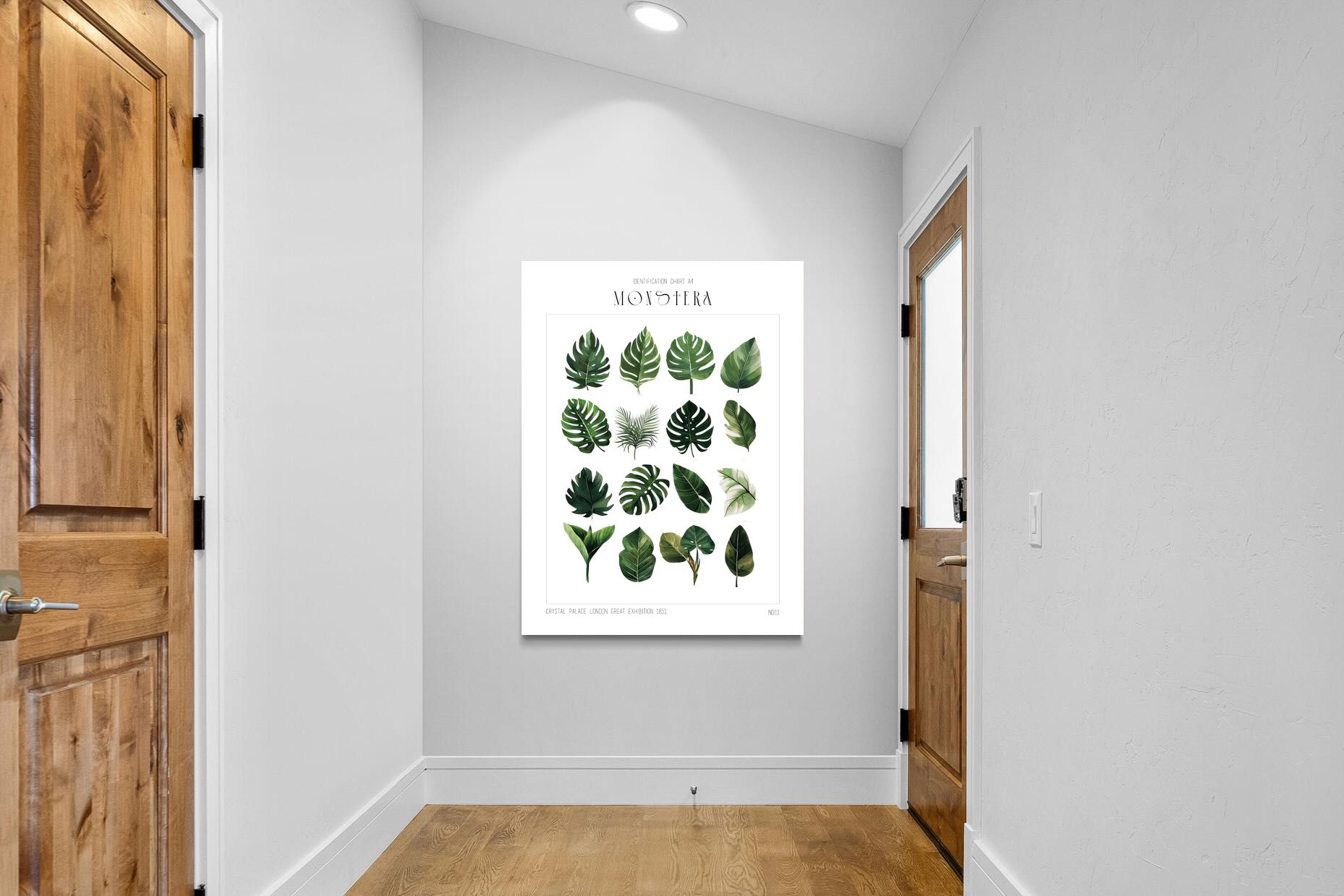 Pixalot Monstera Illustration Collection
