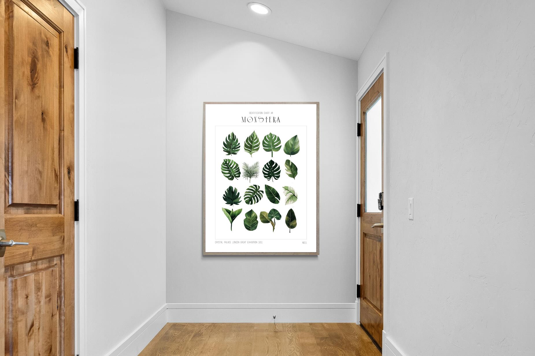 Pixalot Monstera Illustration Collection