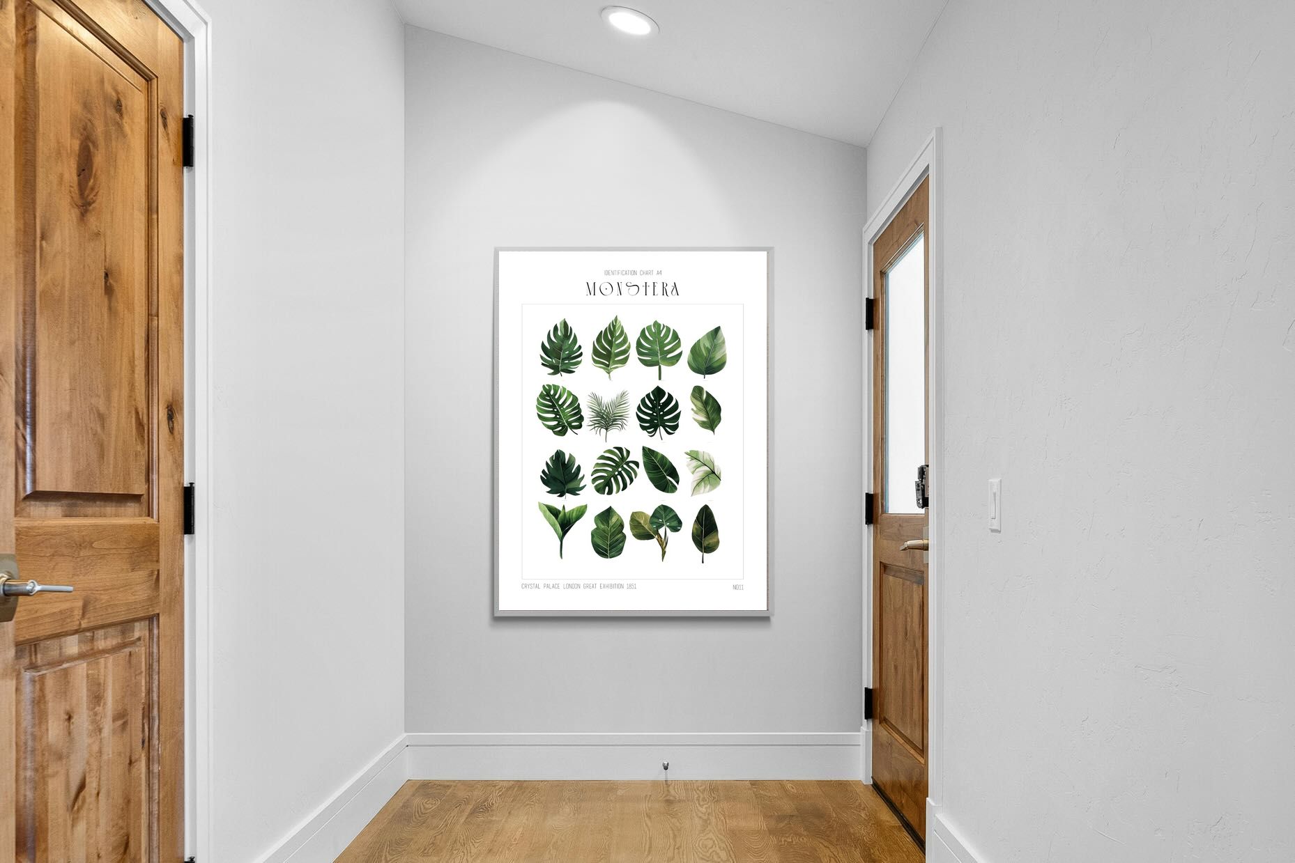 Pixalot Monstera Illustration Collection